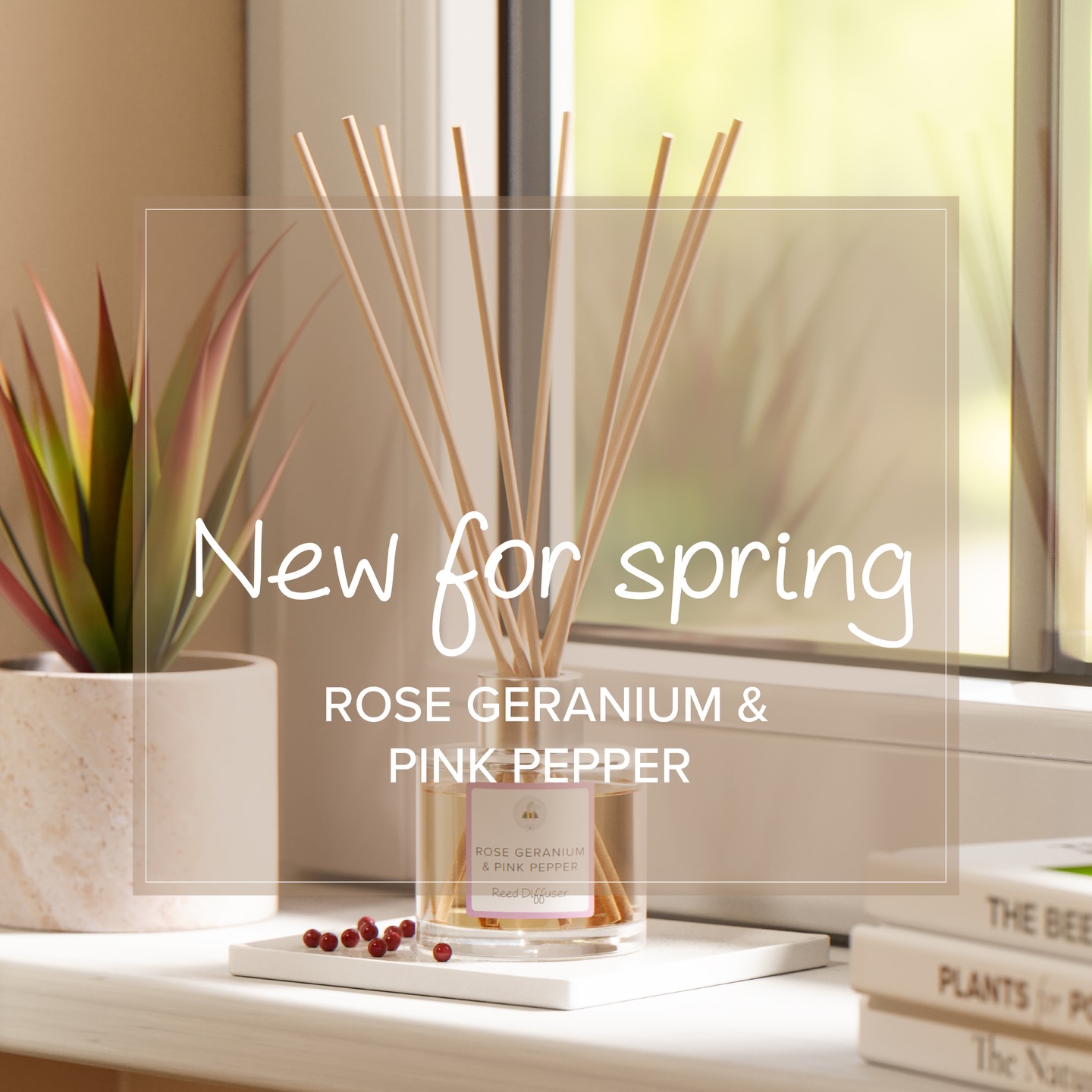 Our new EO home fragrance is coming this spring 🌸
Rose Geranium & Pink Pepper - a mix of pure essential oils to balance and ground, with a citrus top note kick; a floral and sparkly heart and a woody base.
We think you will love it!
Available to pre-order now for April delivery.
Link in bio ⬆️
#newfragrance #homefragrances #beegifts #ethicallyproduced #madeintheuk