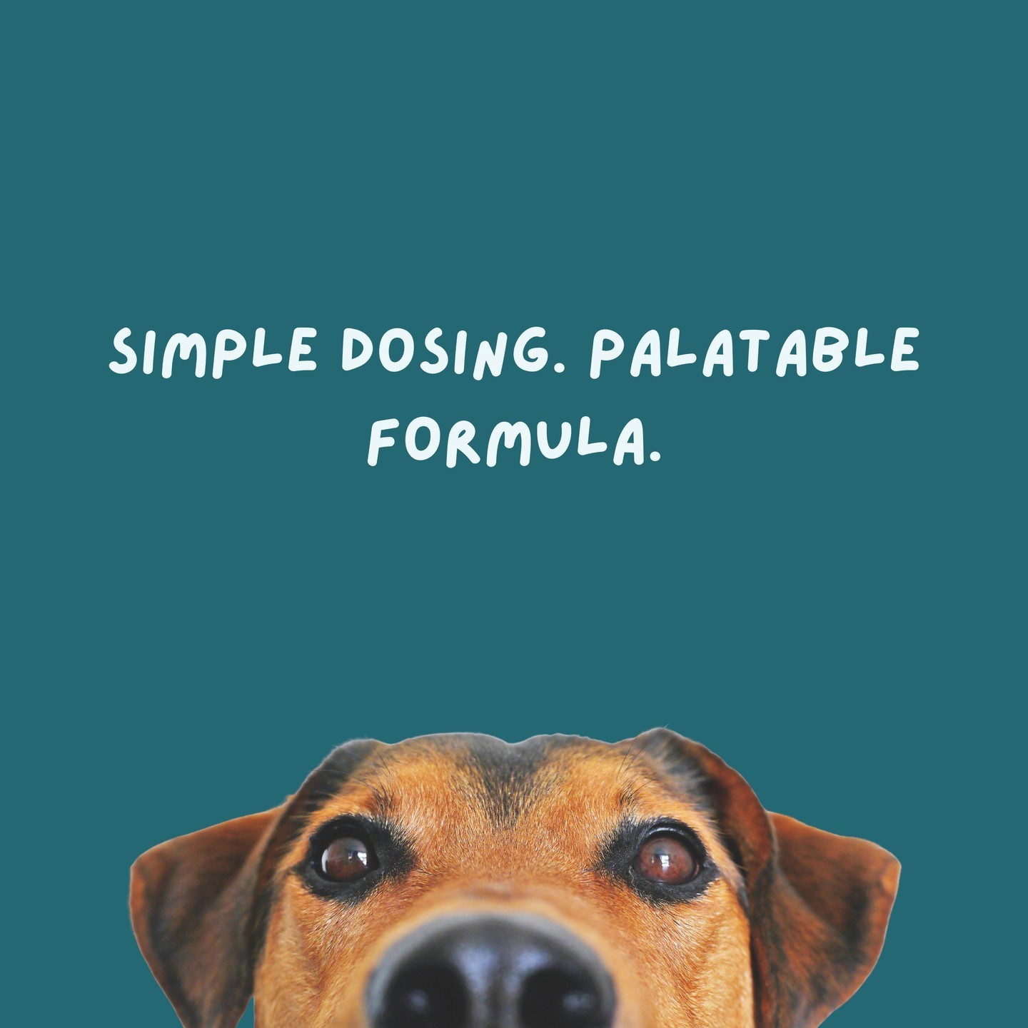 Why Nobatol? The answer is simple. ✓
🩺 Ask your veterinarian about the first veterinary labeled Phenobarbital. Available in 30 mg & 60 mg tablets. #CanineEpilepsyAwareness
➡ For more information, visit nobatol.miznerbioscience.com #ThinkMiznerBioscience