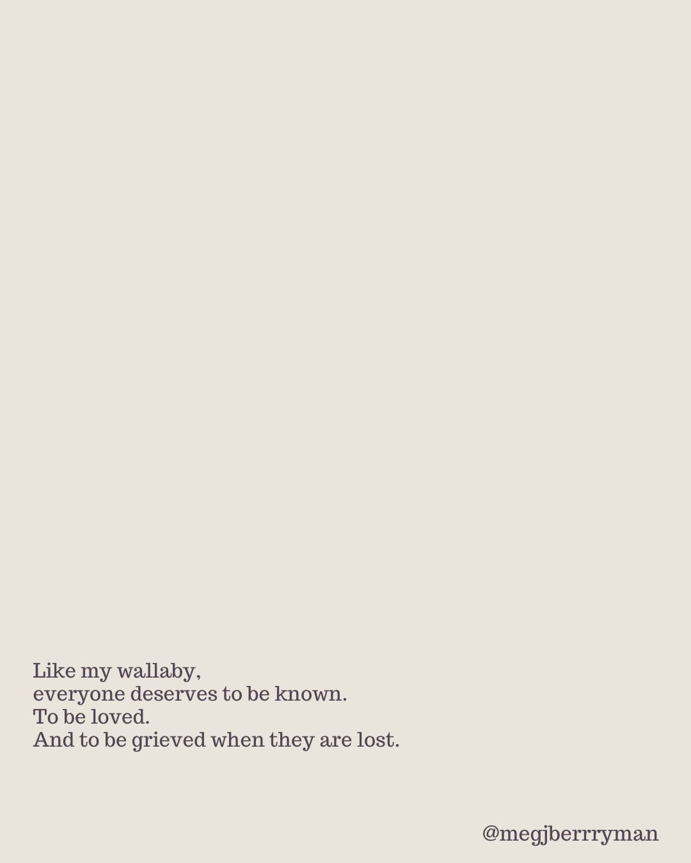 I saw a dead wallaby this morning
by the side of the road not far from our house.
Only it wasn’t any wallaby.
It was our wallaby.
The one we looked for as we drove out the gate.
The one we’d stop and stare at when we caught glimpses of dark grey fur between rock and scrub.
The one that meant it was going to be a good day if we saw it.
Wallabies are solitary.
They keep to a known territory.
Masters of disguise among forest and stone.
This wallaby survived a bushfire.
Only to be hit by a car.
I didn’t know its name.
I didn’t know its story.
But I knew it.
It was a companion.
A small thread of magic and wonder woven through our ordinary mornings.
And as tears of exhaustion slid down my face,
I wondered why I would grieve this wallaby
and not the countless kangaroo bodies I pass on the highway.
It’s because I knew this one.
I had a relationship with this wallaby.
We had walked the same country, again and again.
Grief follows relationship.
Not statistics.
And it got me thinking…
How different might the world be
if we knew each other more?
If we asked each other’s names?
If we looked with curiosity and excitement for each other’s shape among the trees?
Nameless, faceless masses are easy to forget.
We don’t grieve what we never allowed ourselves to know.
But what if we did?
What if grief didn’t just leave us bereft and powerless,
but could transform into something wide and wild enough
to stop the violence enacted on those we’ve been taught not to grieve?
Like my wallaby,
everyone deserves to be known.
To be loved.
And to be grieved when they are lost.