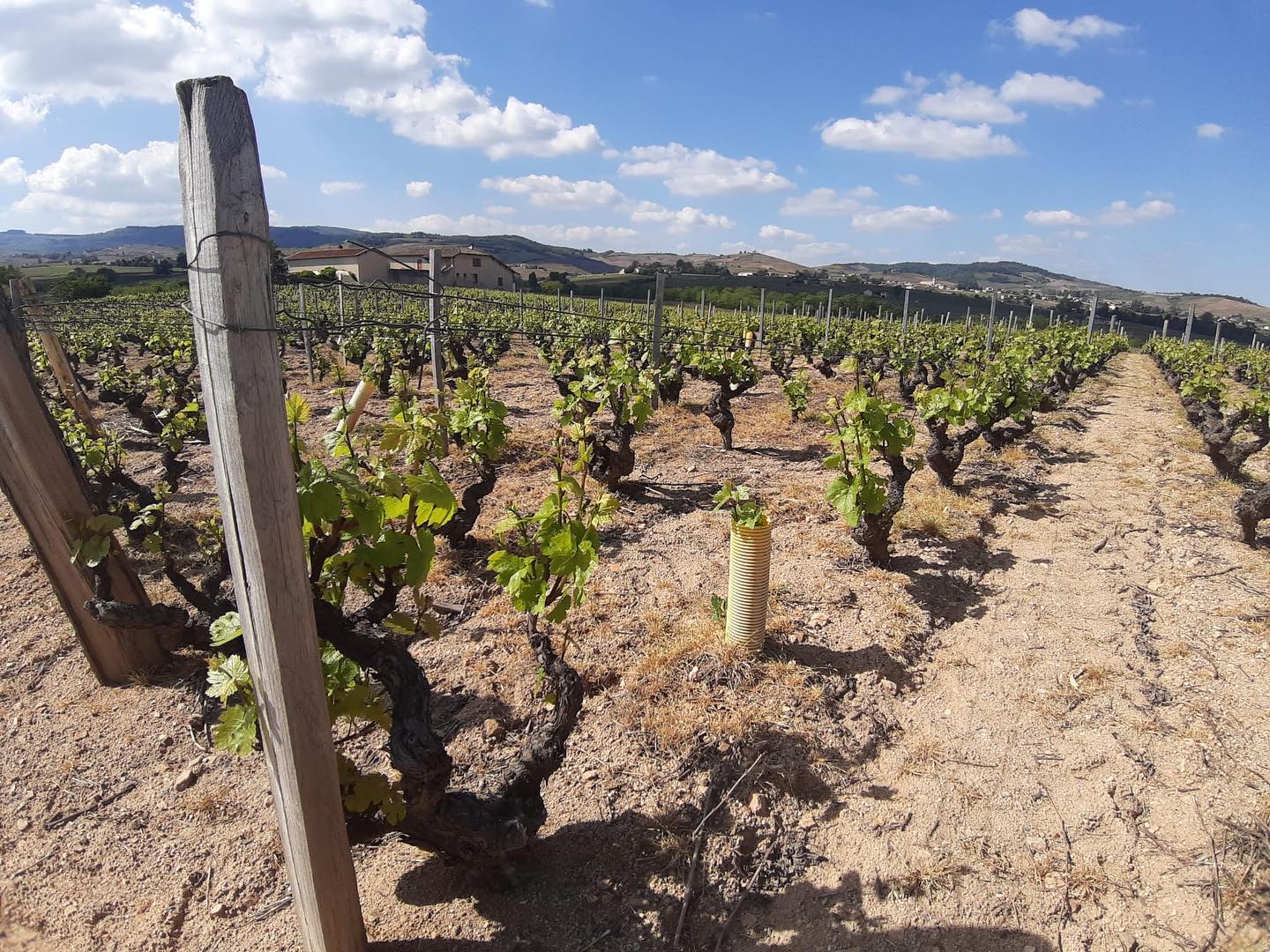 En préparation…🍷#gayvinssuisse