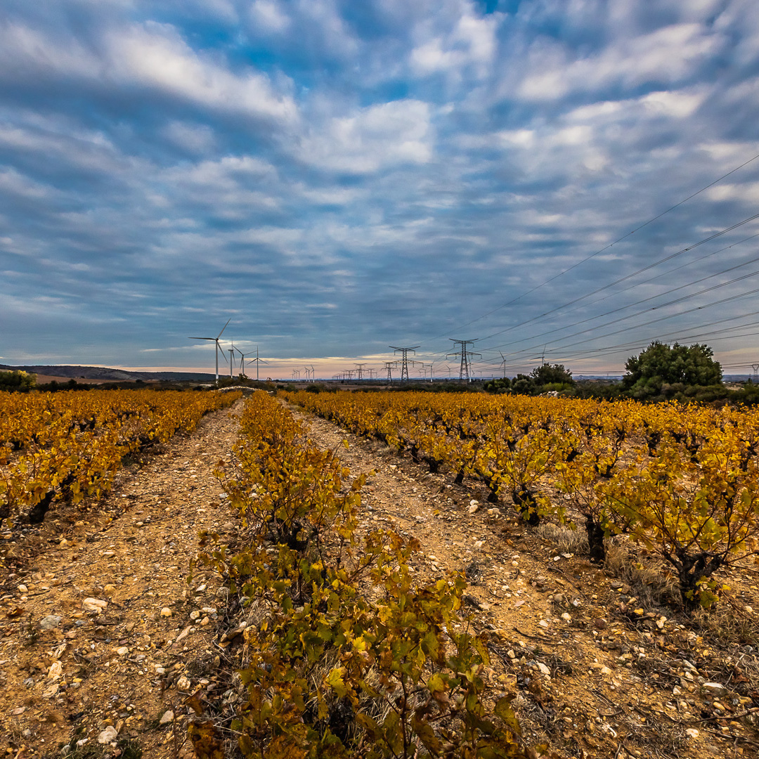 📸 | REPORTAGE INDUSTRIE | OMEXOM | LIGNES HAUTES TENSIONS 👷
👉 En 2022 j'ai été contacté par la société OMEXOM, filiale de Vinci Energie, afin de réaliser un reportage sur la mise en place d'une ligne très haute tension (400 000Vlt) entre la France et l'Espagne.
J'ai ainsi eu la chance de pouvoir fréquenter des hommes hors normes capables de travailler dans n'importes quelles conditions les plus périlleuses et ce, aux quatre coins de la planète.
Suivez-nous :
🌍 Notre site : https://www.indecomprod.fr/
🔹 Facebook: https://www.facebook.com/indecomprod
🔺 Instagram : https://www.instagram.com/indecomprod_filmmakers/
______________________________
.
.
#omexom #industrie #industriel #hautetension #energie #energiepositive #vinci #vincienergies #coupdecoeur #energieverte #photo #photoindustry #photoreportage #photooftheday
.
.
#agenceaudiovisuelle #RéalisationAudiovisuelle #PhotoProfessionnelle #DroneProfessionnel #VideoCorporate #monteurAudiovisuel #Packshot #ReportagePhoto