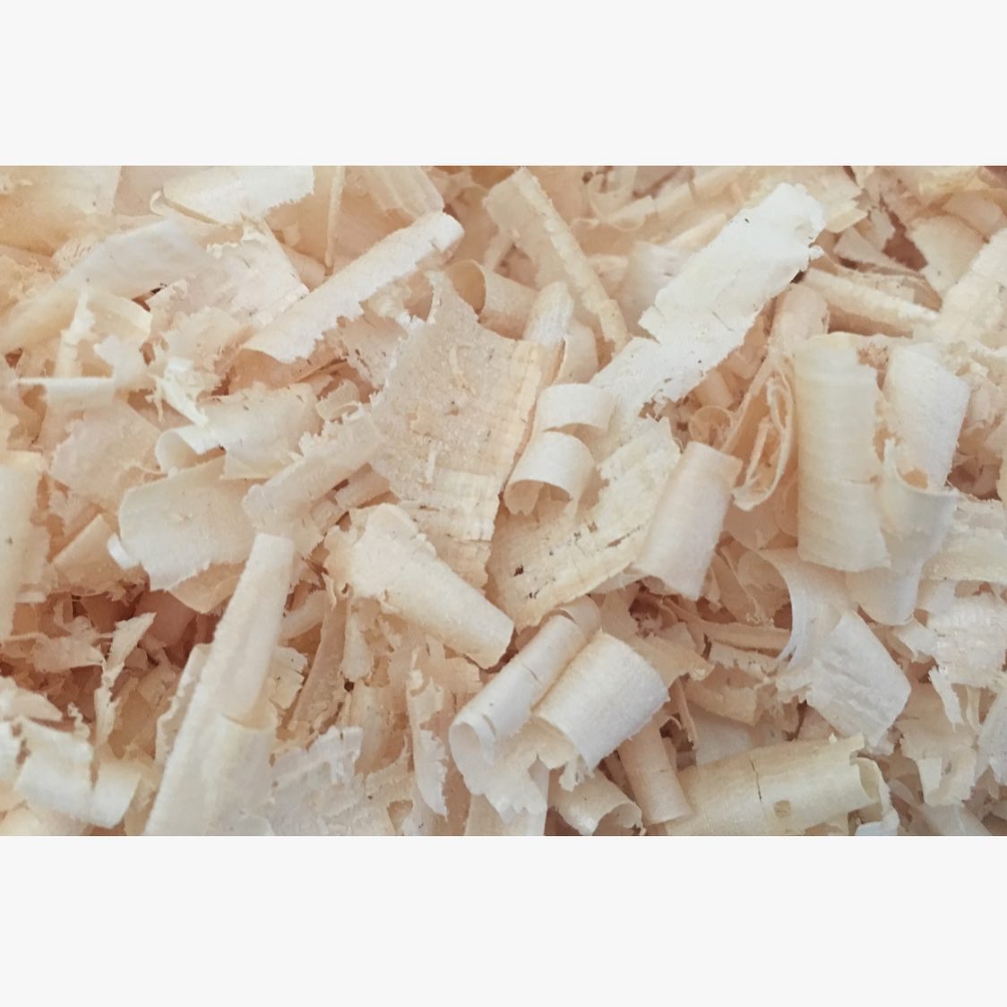 arvenholz - wirkt entspannend und antibakteriell