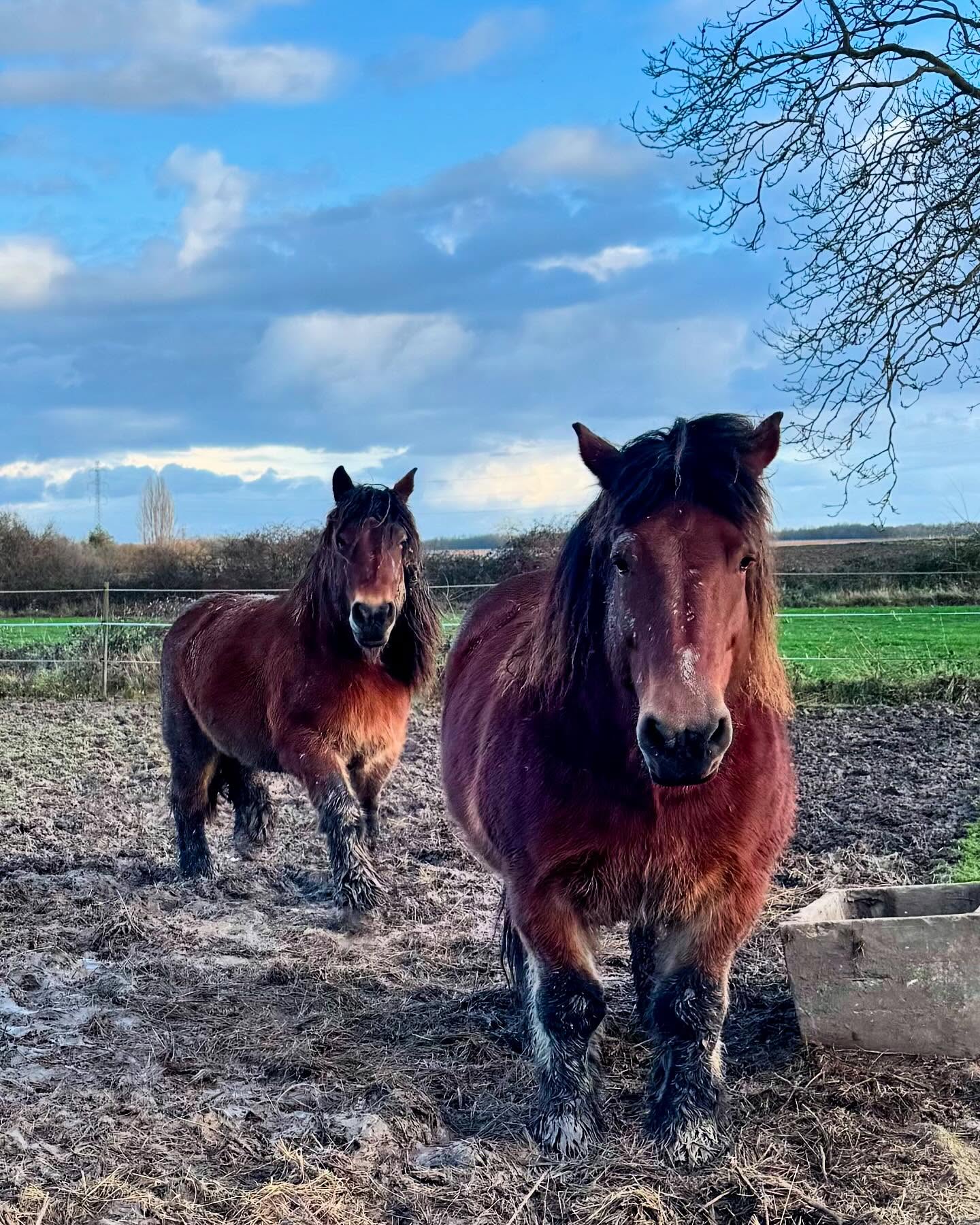 Say ‘Hi’ to the girls ‘Idée’ and ‘Fleur’, the two irresistible Ardennaise from Le Clos de l’Ecotard. Thibault Chevré and his team have done so much lately in the vineyard that the range has been re-imagined. I just can’t wait to share.