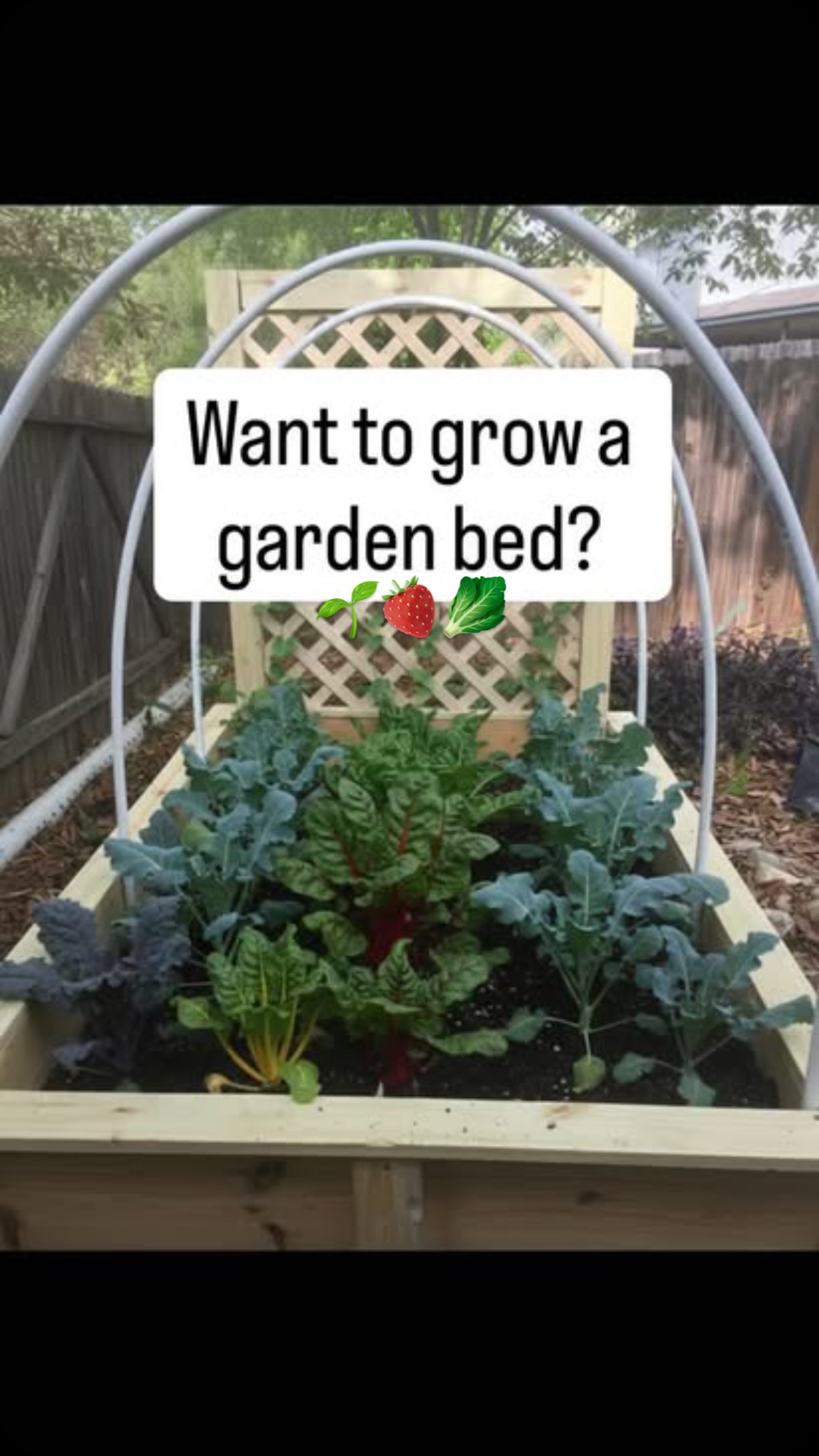 Stop Dreaming, Start Harvesting. 🥬
Love the idea of a backyard garden but don’t know where to start? We bring the farm to you. From custom built raised beds to professional planting, we handle the dirty work so you can enjoy the fresh kale and chard.
Tiny tip:
Did you notice the cardboard lining our builds? This is a professional landscaping trick called sheet mulching. By placing a layer of cardboard under the soil, we naturally suppress grass and weeds without using harsh chemicals.
As the cardboard breaks down, it actually feeds the earthworms and improves your soil quality. It’s a win for you and a win for the planet.
Call to Action: DM us for a free home consultation and let’s get your garden growing!
#RaisedBedGarden#VegetableGarden
#GrowYourOwnFood #EdibleLandscapingGardenDesign
#fyp