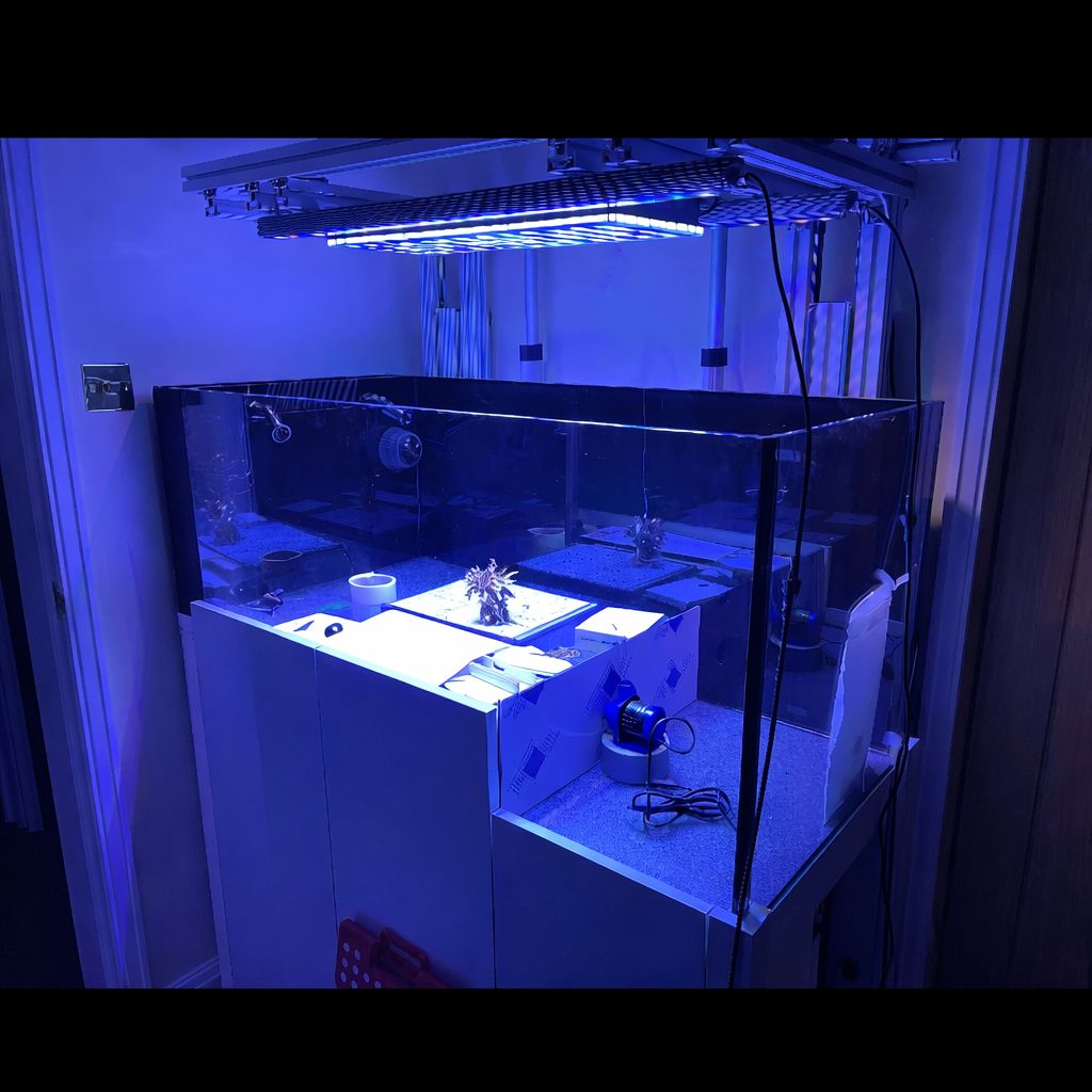 CUSTOM BUILD SPOTLIGHT: Real reefers. Real magic.
See what happens when passion meets precision. This epic Polyp Pros tank is thriving, with flawless flow and next-level style—no extra pumps needed!
Thinking about your own custom setup? Message us to start your reef journey or check us out:
www.thepolyppros.eu
www.thepolyppros.co.uk
Massive thanks to our awesome community for trusting us with your dream reefs! 🦑
#thepolyppros #reef2reef #customacrylictank #fragtank #reefcommunity #ukreefs #maltaaquarium #coraladdict #reeftankbuild #marineaquarium #reeflife #aquascape #bespoketank #3dprintedreef #acrylicreef #europeanreefer #reefsetup #coralfarm #reefgeek #allmymoneygoestoreef #reefobsessed #sumpedtank #aquariumdesign #ilovemyjob #fraglife #customreef #reeftanksofinstagram #nextlevelreef