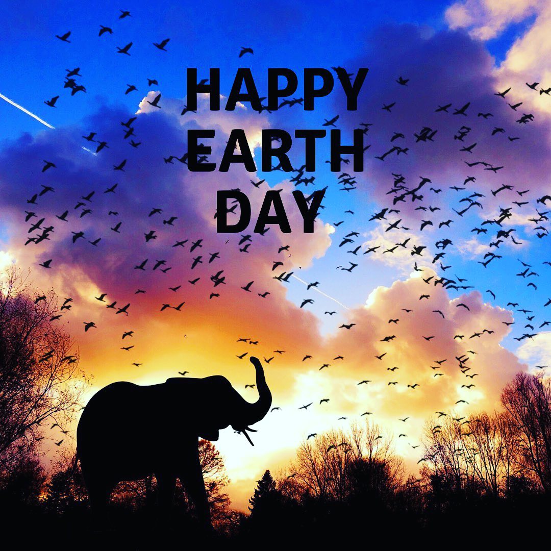 Happy Earth Day!
🌎🌍🌏🌎🌍🌏
How are you going to celebrate and honour our beautiful planet today? There is so much to be grateful for. 💚
Get outside and appreciate every single blade of grass, the branches and leaves on the trees, the pinecones, the rivers + lakes, the rocks + the stones, beaches + oceans, mountains + valleys, the sky overhead, the clouds, the sun, the snow on this chilly April day (here in my area anyway), feel the wind on your face, hear the birds that are so busy creating nests in preparation for new life, all of the creatures and creepy crawly things that do their part, the fish and yes the coyotes. And the poor bees. 🐝 When night falls check the moon and the stars - just look up and take a moment to imagine the vastness. How did we do so much harm?!
💚We have only one planet Earth. Let’s all try to do our part to help combat the damage done to our environment.
💚Yes you can make a difference.
💚Every small act counts.
🌱use refillable water bottles and grocery bags
🌱plant something
🌱pick up some litter
🌱don’t litter - put trash in its place - do I really need to say that? apparently
🌱walk or ride your bike - leave the car at home once this week
🌱take shorter showers - or less showers 😳
🌱stop using plastic - just 🛑
🌱eat less meat
🌱unplug stuff when not in use
🌱avoid single use anything
#earthdayeveryday
#saveourplanet
#pickupsomelitter
#climatechange
#doyourpart
#getoutside
#decreaseyourcarbonfootprint
#begrateful