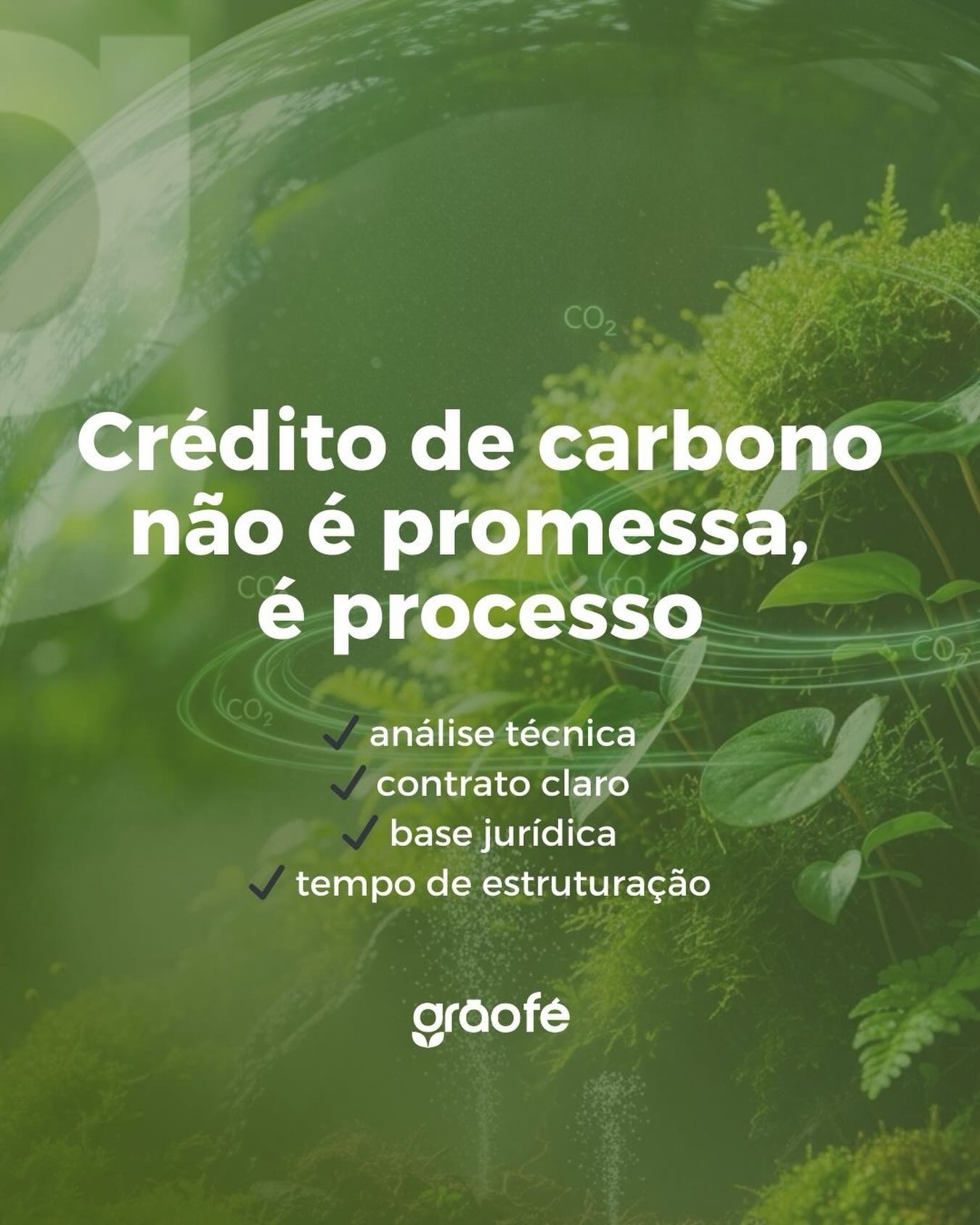 Crédito de carbono não é promessa, é processo
Projeto sério tem:
✔ análise técnica
✔ contrato claro
✔ base jurídica
✔ tempo de estruturação
Na GrãoFé, nem toda área é aprovada!
📊 Quer saber se sua propriedade passa pela primeira etapa?
Faça sua análise gratuita