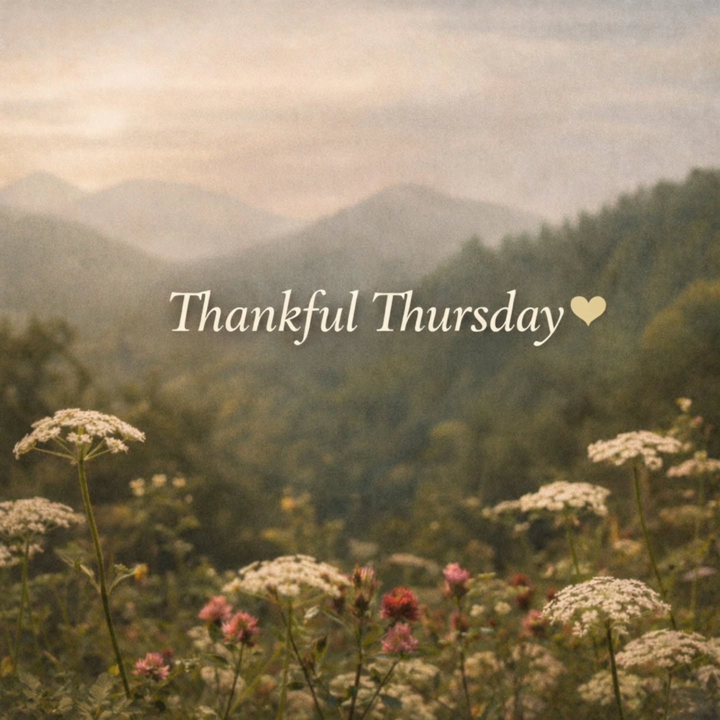 ๐ ๐ง๐ต๐ฎ๐ป๐ธ๐ณ๐๐น ๐ง๐ต๐๐ฟ๐๐ฑ๐ฎ๐ ๐
Whatโs still here,
even after everything?
Maybe itโs your breath.
The ground beneath your feet.
A quiet willingness to keep going.
#thankfulthursday #mindfulness #gratitude #interfaithminister #gratitudepractice