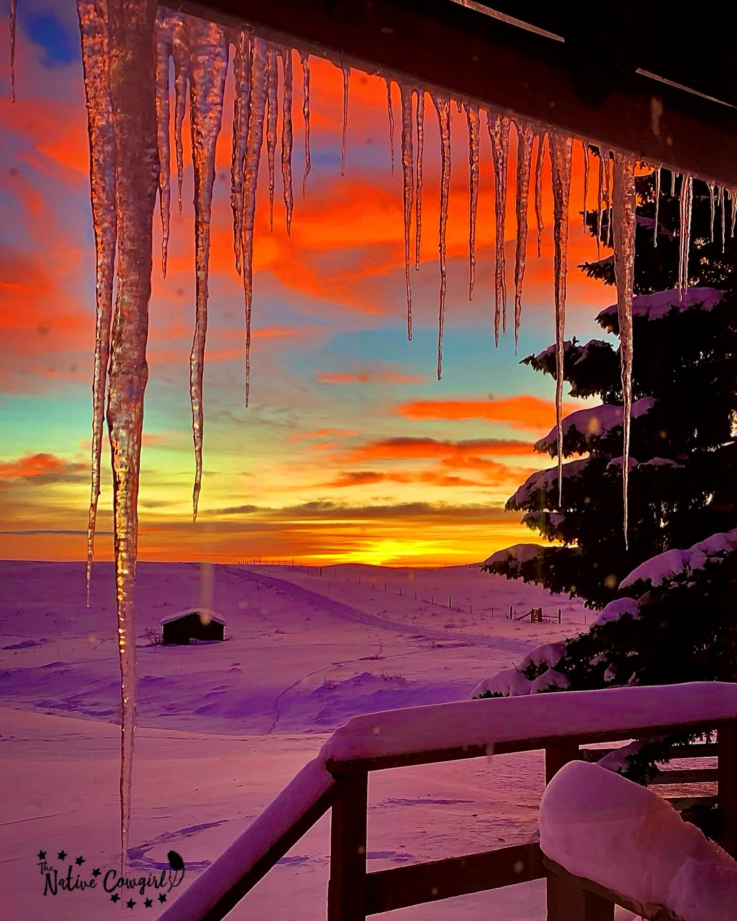 Sometimes I stand at my kitchen window with a warm cup of coffee and just watch the world wake up.
The horses moving slow through the pasture.
The sky stretching pink over the hills.
The quiet before the day begins.
And it reminds me of something I’ve heard of called the Kitchen Window Theory.
Life looks different depending on the window you choose to look through.
From one window you see problems.
From another you see possibilities.
From another you see gratitude.
Same ranch. Same day. Same life.
Different view.
It is easy to focus on what is broken, busy, or overwhelming. I have done that too. We all have. But when I slow down and stand still long enough to really look…everything shifts.
I see blessings.
I see lessons.
I see how far God has already carried me.
Your mindset is your window.
If you rush past life, you miss it.
If you complain through it, you darken it.
If you pause and breathe it in…you brighten it.
Sometimes healing is not a big grand plan.
Sometimes it is just standing at the kitchen window…watching the horses…remembering who you are…and choosing gratitude.
Today, choose the window that lets the light in.
🪶Cheyenne, The Native Cowgirl