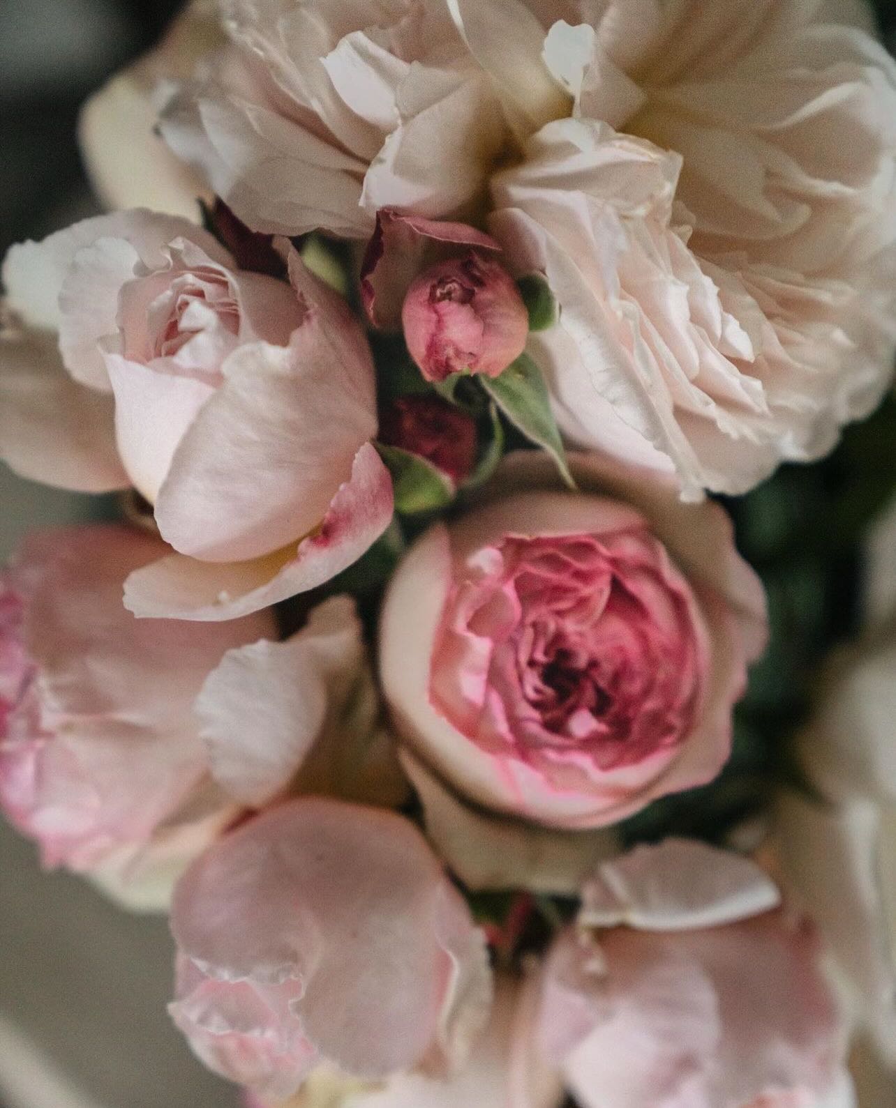 For the LOVE of home. 💕
Gift ideas for the love of it.
Shop link in bio — free shipping over $150!