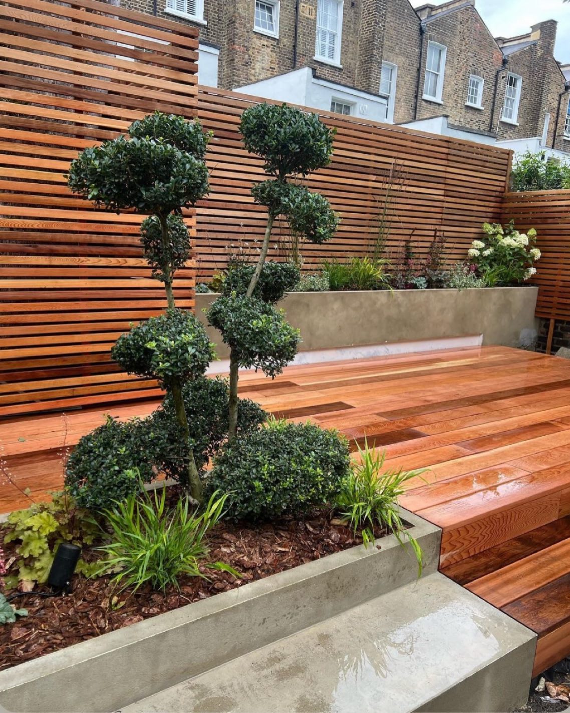 Cloud pruned tree stylishly complimenting this Islington garden planting scheme. Great working with @mmscape another excellent build #islingtongardens #cloudprunedtree #lowmaintenancegarden #contemporaryoutdoordesign #northlondongardendesign #northlondongardendesigner #smallgardenspaces #japanesethemedgarden