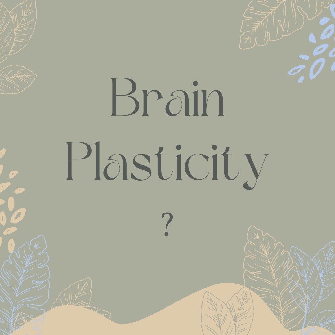 Brain plasticity or neural plasticity/neuroplasticity - you might have heard it from your doctors or your therapists after a brain injury, such as a stroke, or traumatic brain injury, but what is it? The term brain plasticity or neural plasticity, to put it simply, is our brain's special power to change and adapt to our experiences. It allows our brain to heal and to make new and meaningful connections in the brain. With the right environment and exposure to different experiences such as speech therapy, the healing journey and outcome will likely be better and faster. Learn more about how to find a speech therapist for your specific needs, why you need a speech therapy, and what a speech therapist can help you with after a brain injury, read our resource blog - link in bio. www.thechatroomtherapy.com/blog