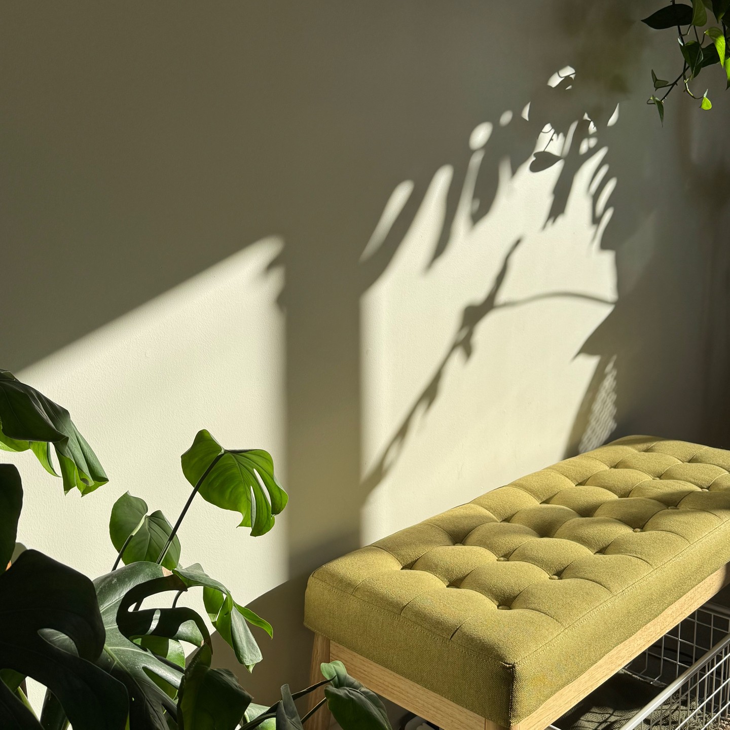 The holidays are approaching! With Thanksgiving only three weeks away and Christmas just over six, my books are filling up fast! To help you look and feel your best for the holidays, I’ve extended some of my hours to make room for all things lashes!
💫 Full Sets – Designed to bring out your natural beauty with a touch of drama! Each set is customized based on what your natural lashes allow to keep them healthy and looking beautiful.
💫 Lash Lifts – A great option for a low-maintenance, natural enhancement! Lifts brighten and curl your natural lashes for an effortless, beautiful look that lasts 6-8 weeks. Perfect for those who want gorgeous lashes without the upkeep of extensions. (We recommend pairing lifts with @lash_spell enhancement serum or mascara!)
💫 Fills – Pre-booking your fills helps to ensure you have the time spot that works best for you. Keep your lashes looking fresh, healthy and full for every gathering and celebration!
Not sure what style fits you best? I offer consultations to find your perfect look. ✨