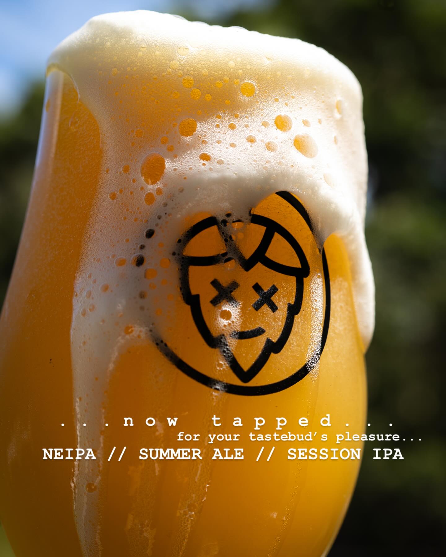 …now tapped… for your tastebud’s pleasure...
NEIPA // SUMMER ALE // SESSION IPA
🍻🍻🍻🍻🍻
TEMPLATE OF DOOM – NEIPA 5.4%
Very light orange to yellow in colour with straw highlights and a bright white head.
Punchy nectarine upfront with subtle citrus zest and a background note of pineapple.
Very full bodied with a low-level bitterness, pillowy mouthfeel and clean oat sweetness.
Dry hopped with Mosaic and El Dorado.
WEDDING WANDERER – Summer Ale 4.2%
Light yellow to straw in colour with a bright clarity and bright white head.
Soft aromas of stonefruit, pineapple and mixed citrus are laid across a backdrop of freshly cut grass.
Light to medium bodied with an approachable bitterness and subtle malt character.
Dry hopped with El Dorado and Taiheke.
EVERYBODYS MARCO – Session IPA 3.5%
Golden orange in colour with a bright clarity and light white head.
A big pine note is presented upfront while blended well with vibrant aromas of mixed citrus zest.
Light to medium bodied with a firm bitterness and clean malt character.
Dry hopped with Motueka and CTZ.
#freshaf #beerporn #wildhopbeer
#perthbeer #perthbeersnobs