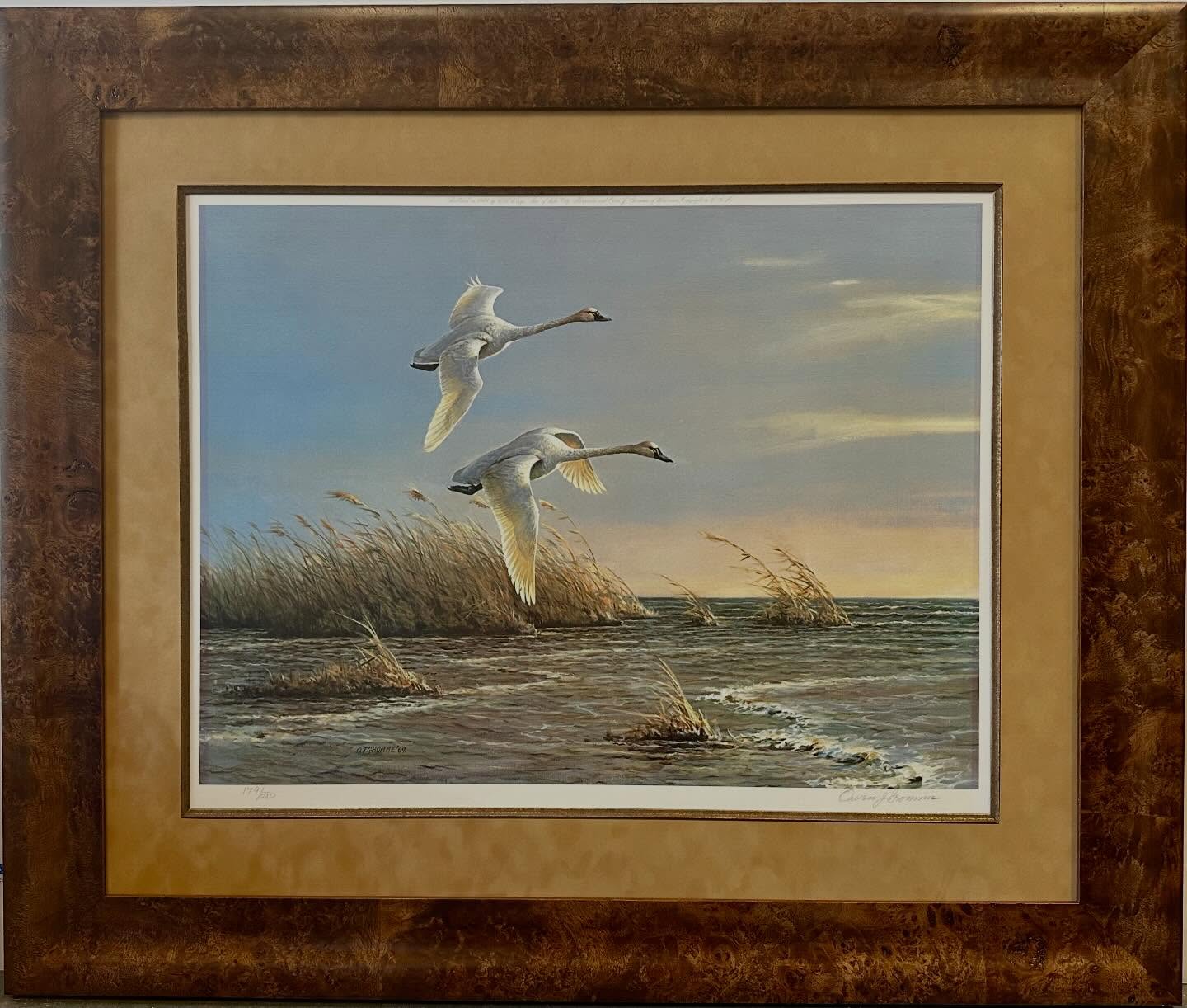 🖼️ These prints are part of a multi-phase project we are working on with a wonderful client. He inherited a large collection of his Father’s duck print and duck stamp collection. We begin by removing the prints from their old frames to stop the damage from the previous acidic framing materials. We then spend a lot of time curating new combinations of the most beautiful burl wood frames, suede mats and fillet inserts. Each piece is then custom framed right here in our shop with careful consideration to use only the best conservation materials to preserve the art for generations. We take great pride in the quality of our workmanship here at Island Expressions and love to help our customers create masterpieces from the art that is most meaningful to them.
🖼️ What can we frame for you today? Stop in or book a consultation on our website and let’s get your next framing project started.