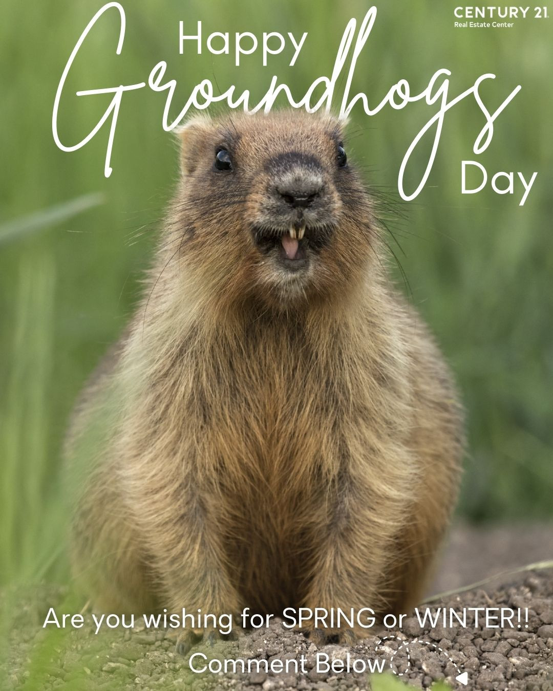 ☀️❄️ Spring or winter — which one are you hoping for this Groundhog Day?
Tell us below! We’re rooting for whatever brings you joy. 🐾
#GroundhogsDay #SpringVibes #WinterWonderland #CENTURY21RealEstateCenter