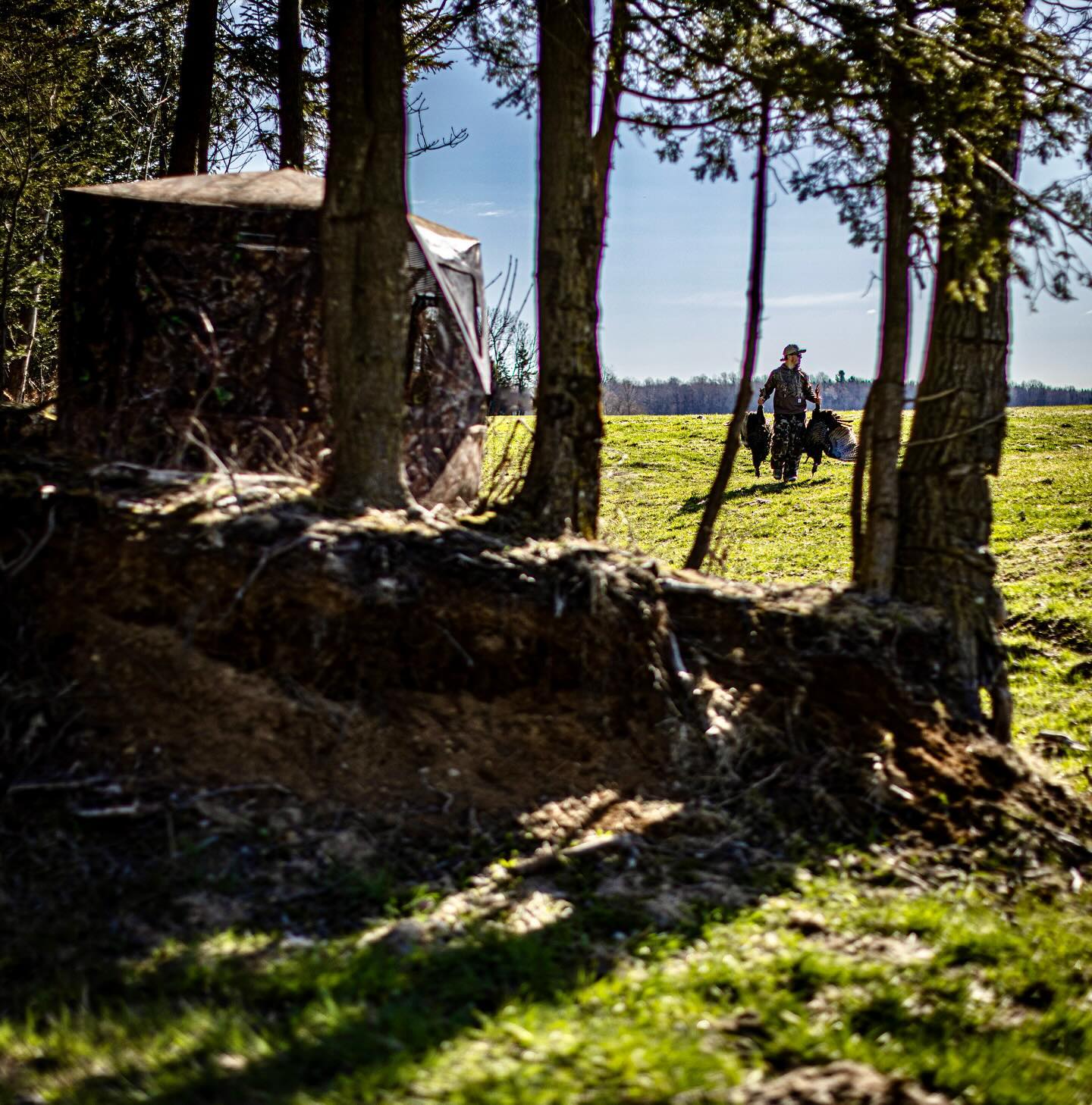 Game Over!!!
Altan Bush Bunker