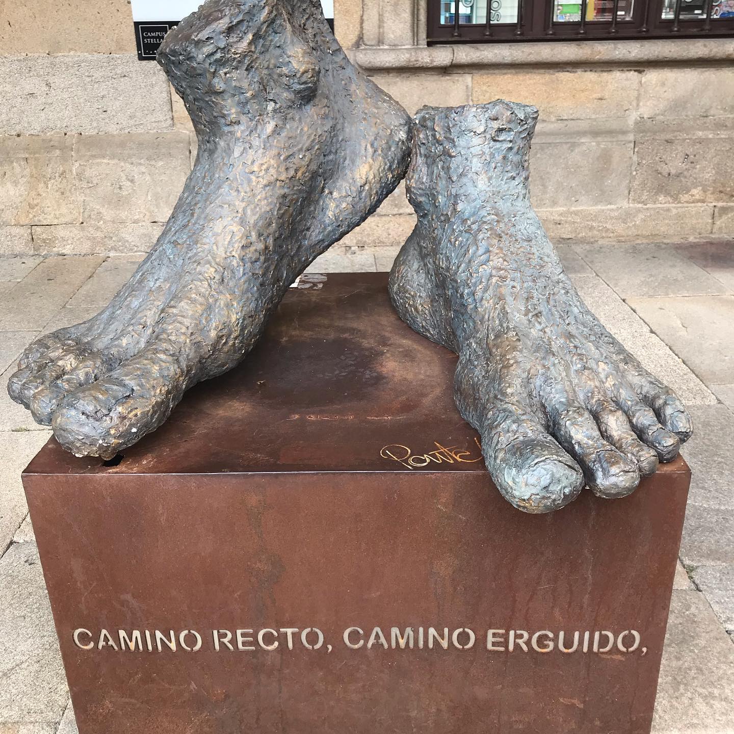 Pilgerfüsse
#freeyoursoul #pilgerweg #santiagodecompostela #caminoportugues