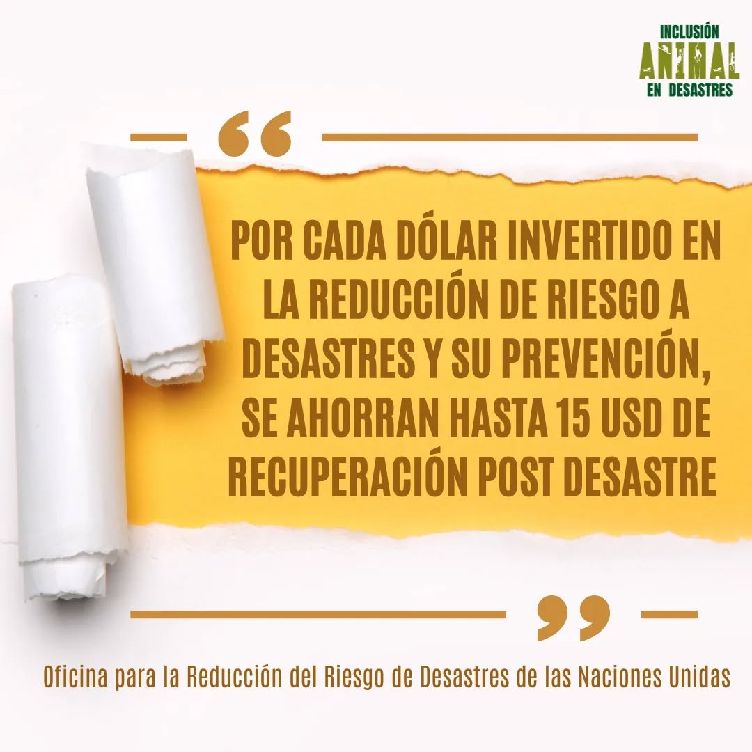Más todo el sufrimiento de sobrevivir un desastre..... Es sorprendente que la inversión en reducción de riesgo a desastres no sea mayor. Quizás si no lo hacemos por sentido común, lo haremos por dinero.
.
.
.
#animalesendesastres #iad #iadlatam #inclusionanimalendesastres #inclusionanimal #cuidadoanimal #ningunanimalsequedaatras #animal #animallovers #animals #amor #ayuda #proteccion #conservacion #educacion #desastres #desastresnaturales #latina #cambioclimatico #refugioanimal #santuarioanimal #caribe #petsofinstagram #plandemergencias #americalatina #moneytalks #capitalismo
#dinero