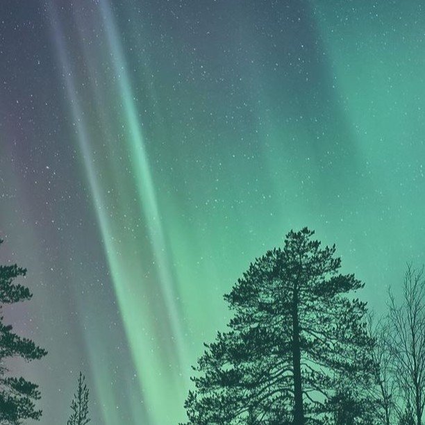 Make a wish
Spaciger Yoga Flow & 13 Wünsche Ritual mit Niki
Yeah, ab dem 21. Dezember werden die Tage wieder länger. Es werde Licht und so erwacht auch unsere innere Kraft.
Lasst uns die magische Zeit zwischen den Jahren nutzen.
Nach einem spacigen Yogaflow teile ich mir dir mein Lieblingsritual.
Das Ritual der 13 Wünsche
Als Vorbereitung formuliert man 13 Wünsche für das kommende Jahr und schreibt diese einzeln auf Zettel. In jeder der 12 Raunächte wird dann einer der Wünsche verbrannt. 12 der 13 Wünsche erfüllt das Universum. Für die Erfüllung des verbleibenden 13. Wunsches ist man selbst verantwortlich.
Ich freue mich auf diese besondere Zeit Solltest Du bis jetzt die Raunächte noch nicht bewusst erlebt haben, probiere es aus und genieß Sie die Zeit.
Lasst uns gemeinsam einen inspirieren Nachmittag verbringen.
Termin⎪22. Dezember 2024⎪13 - 16 h
Beitrag⎪45€
#rauhnächte
#rauhnächteritual
#wunscherfüllung
#vision2025