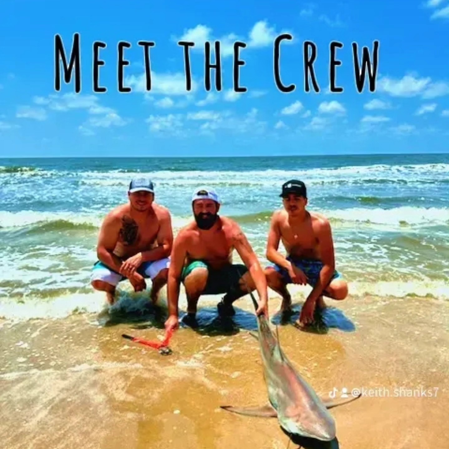Sharkin Crew!