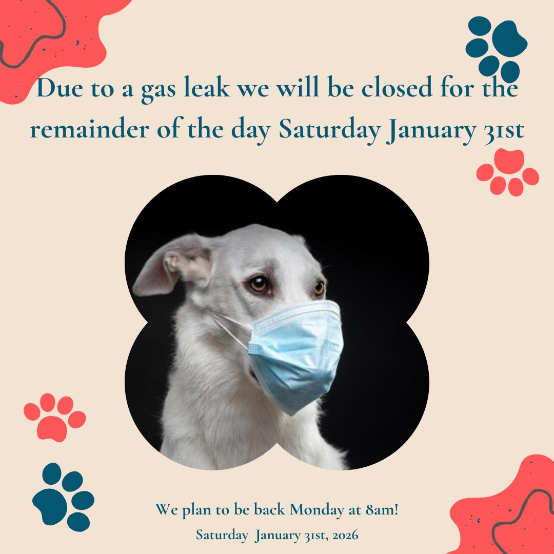 Thank you and stay safe! 🧡