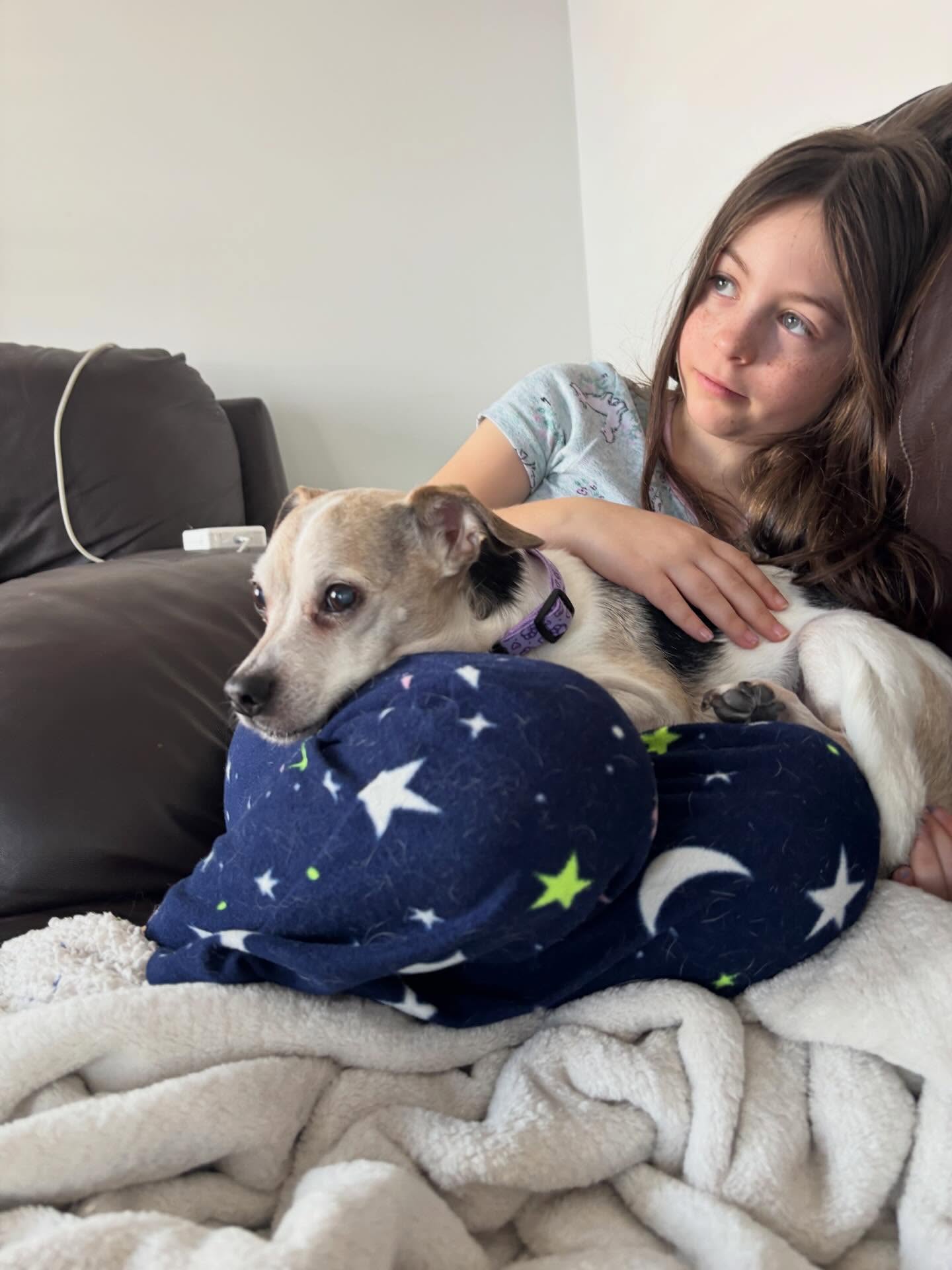 Just a girl and her dog
#youngdogowner #puppylove #girlandherdog