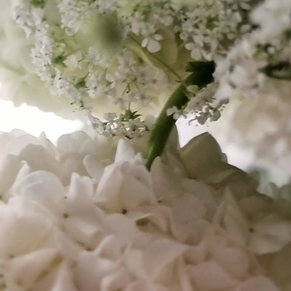 #viherterapia #valkoinen