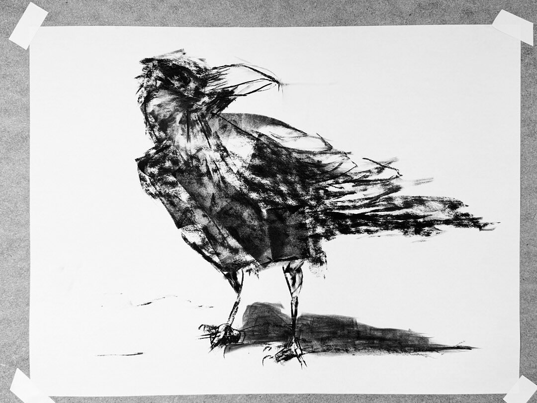 Crow getting his edge on
A morning media exploration —
water soluble oil paint, brayer, pan pastels, compressed charcoal
#crowportrait #crowpersonality
#individualsmatter #crowdrawing