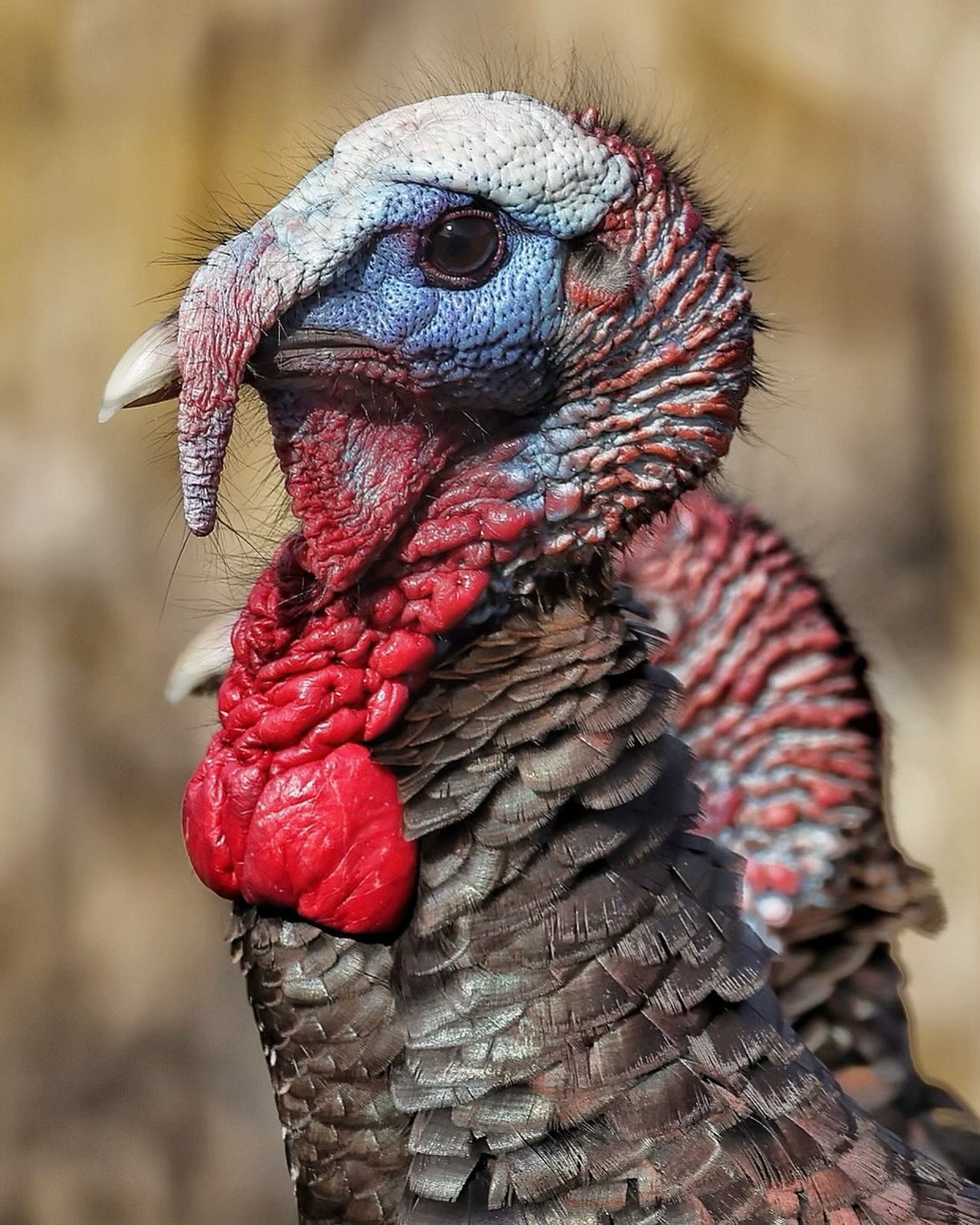 Meeting of the week!!!