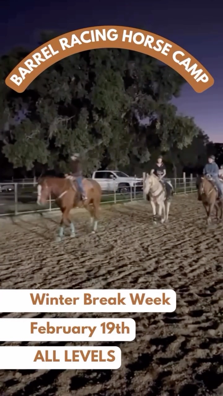 Looking for an unforgettable winter break experience? 🐎✨
Our Barrel Racing Horse Camp is perfect for kids ages 7–14, from beginners to advanced riders.
📅 February 19th
⏰ 9AM–1PM
💲 $200
📍 Gilroy, CA
Spots are limited — sign up now!
#BarrelRacingCamp
#HorseCamp #WesternRiding