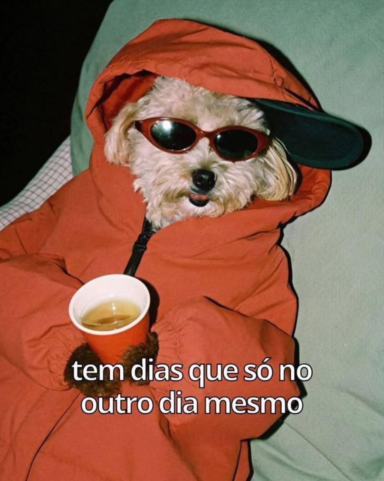 Quem mais se identifica?
#petplace #cuidadospet #memepet #piadapet infopet comedourpet blogpet maedepet
paidepe