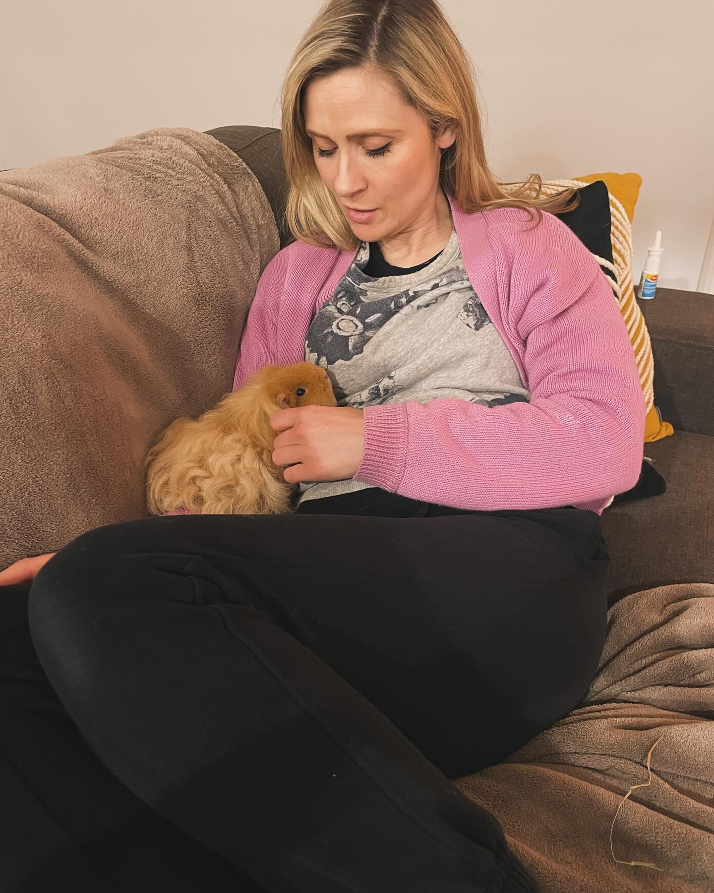 Waffle loves her couch cuddle time. She is one of the youngest piggies of the group, along-with Hazel 💖
She could cuddle here for hours!
#guineapigsofinstagram #guineapig #guineapiglove #guineapiglife #guineapigsof_ig #guineapigs