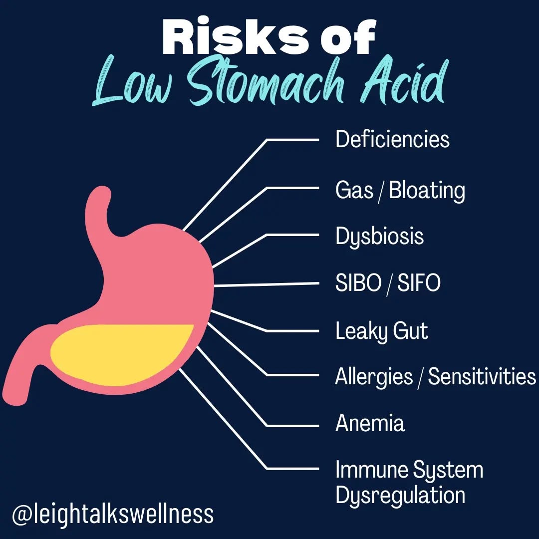 STOMACH ACID IS CRUCIAL FOR DIGESTION AND OVERALL HEALTH
Stomach acid is need to:
- break down food
- kill pathogenic microbes (1st line of defense)
- Aids in protein breakdown
- mineral absorption
- Stimulates bile/pancreatic digestive juices
LOW stomach acid can lead can cause:
❌️ Nutritional deficiencies
❌️ Dysbiosis (parasites, yeast, SIBO, SIFO)
❌️ Gut inflammation (leaky gut)
❌️ Food sensitivities/ Allergies
❌️ Auto Immune diseases
❌️ Cancer
Did this surprise you?
#guthealth #guthealing #guthealthmatters #guthealthiseverything #healtheguthealthebody #holistichealth #holisticnutrition #holisticnutritionists #holisticpractitioner #lowstomachacid #healthygut #healthyguthealthyyou #holisticwellness #healthtips