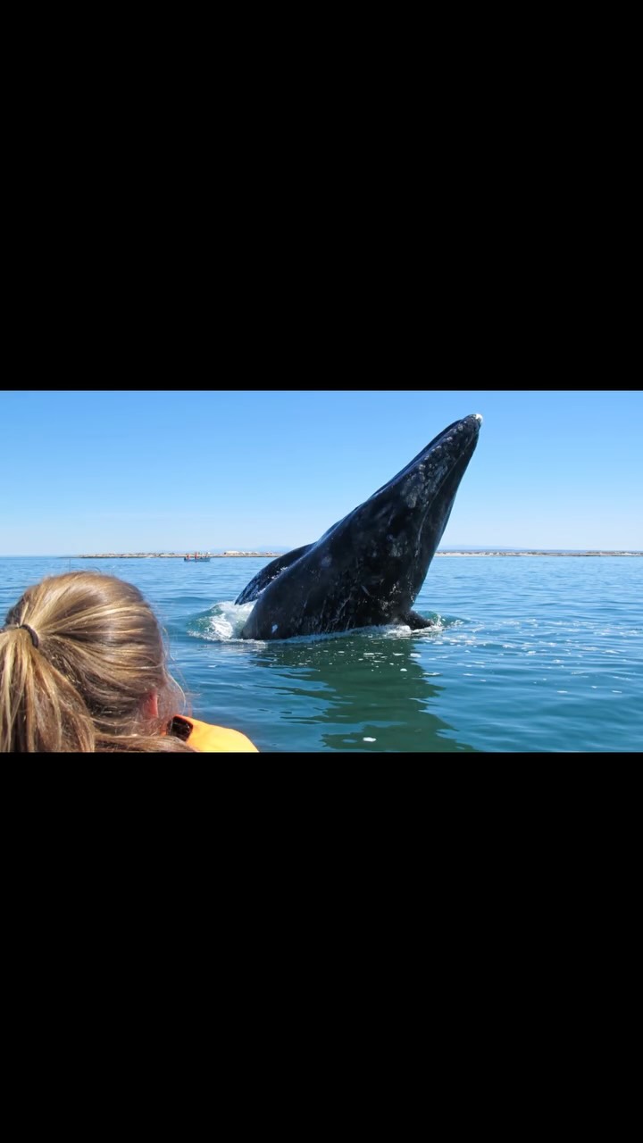 I made this 14 years ago. It’s 5 min so sorry about that - feels like a feature length film. Lots of memories here for sure!