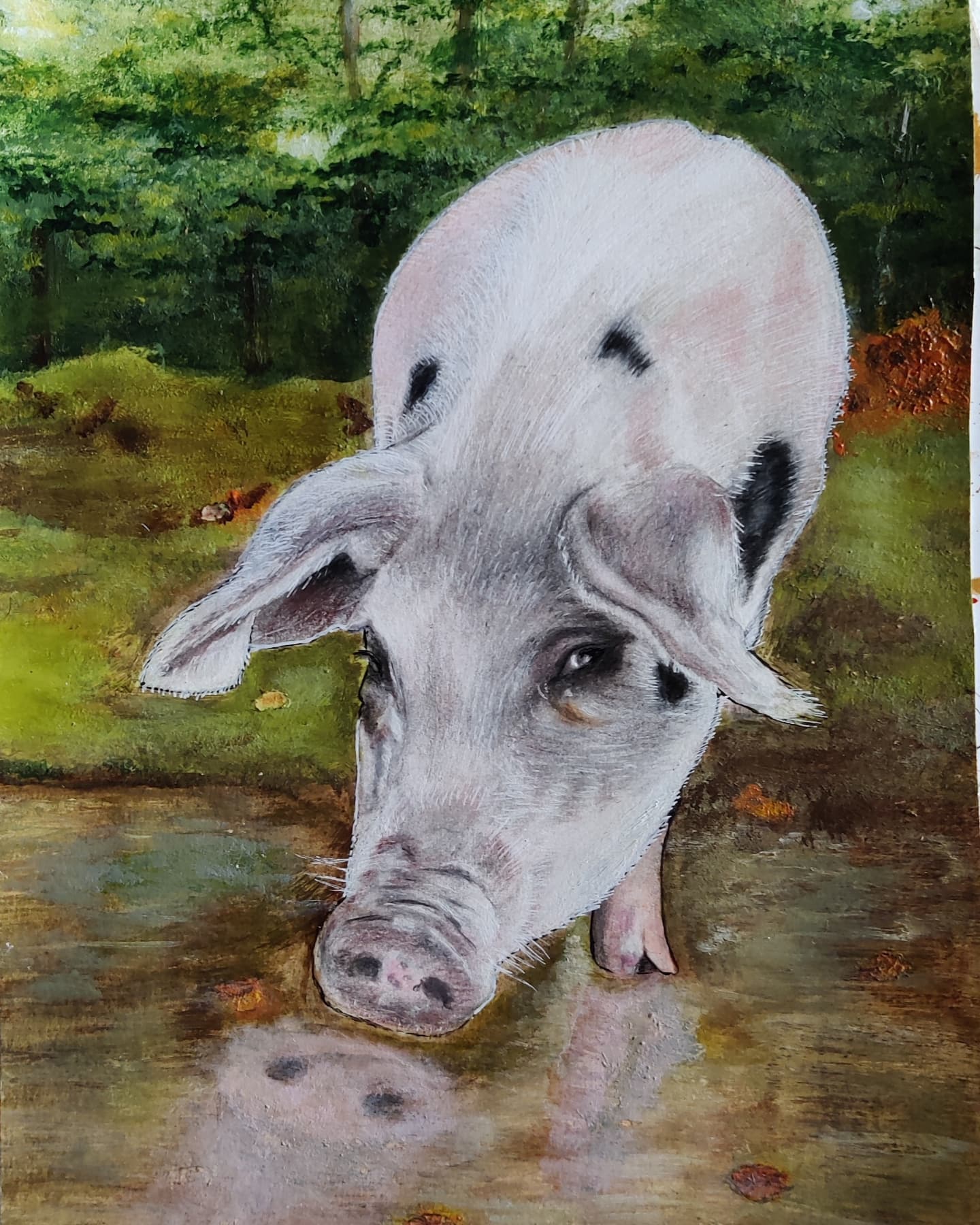 Saw this little cute pig and just had to draw him...........hope he makes you smile....drawn in Faber Castell Polychromos pencils, Acrylic paint for the background .....