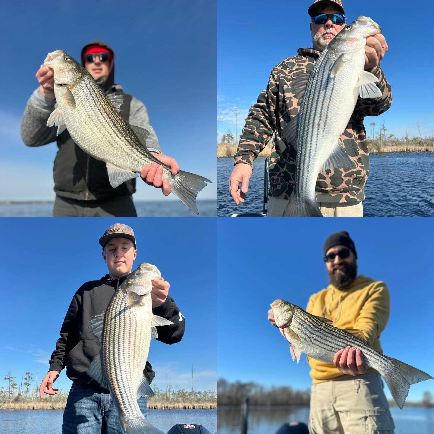 Soon as the ramp thaws, these rascals are in trouble! Who wants to ride? Text or call for availability 252-799-9536. #inshorefishing #winterfishing #striper #striperfishing