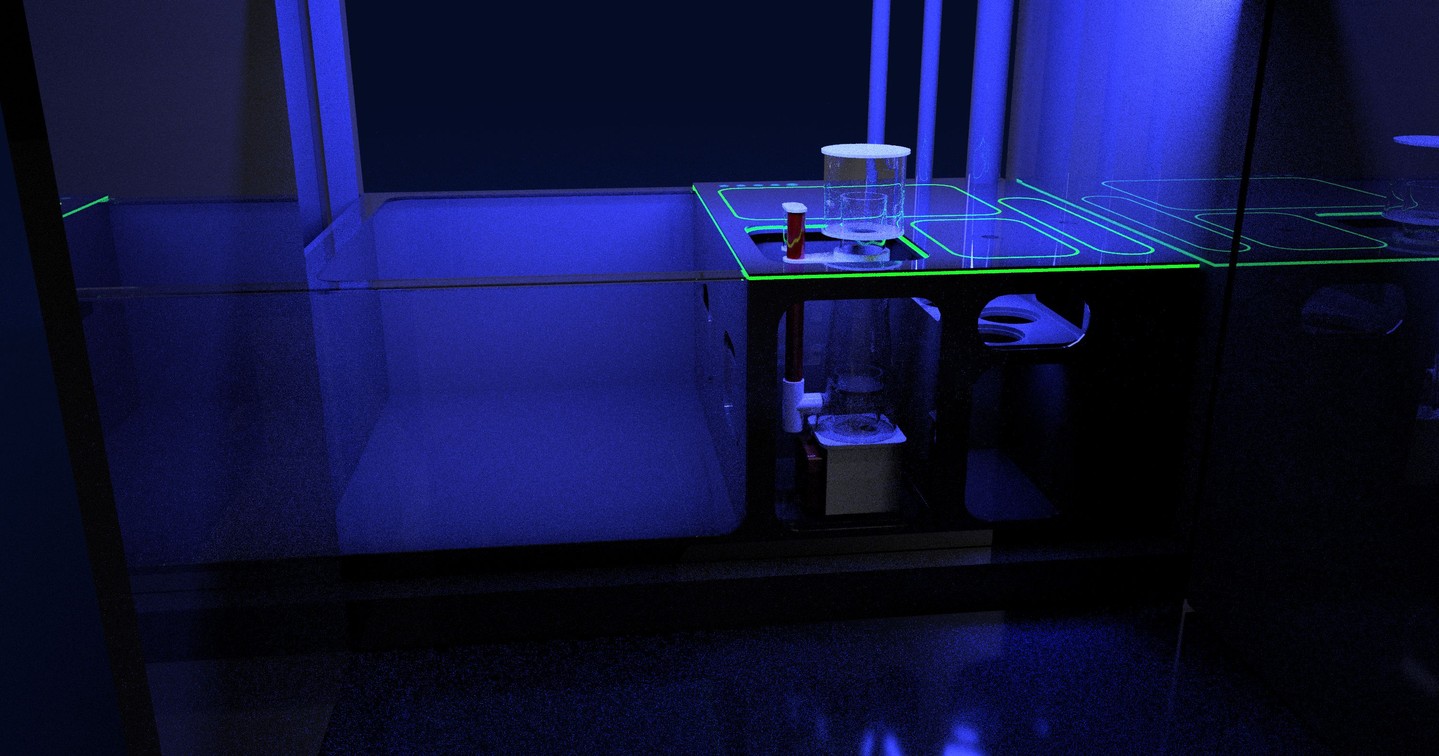 Did you know we also manufacture sump tanks? This was a sleek one we designed recently 🔥
Custom sumps built to perfection. Whether you're running a frag system or a display tank, we've got you covered with precision engineering and stunning aesthetics.
Shop now:
🌐 www.thepolyppros.eu
🌐 www.thepolyppros.co.uk
#SumpTank #CustomAquarium #AquariumSetup #ReefKeeping #MarineAquarium #AquariumDesign #ReefTank #CustomTank #AquariumHobby #ReefNerd #AquaticEcosystem #FragSystem #AquariumCommunity #MarineLife #AquariumEnthusiast #CustomDesign #AquariumLighting #AquariumGear #ThePolypPros #ReefKeeper #AquariumInnovation #DesktopTank #AquariumAesthetic #MarineEcosystem #AquariumBuilding