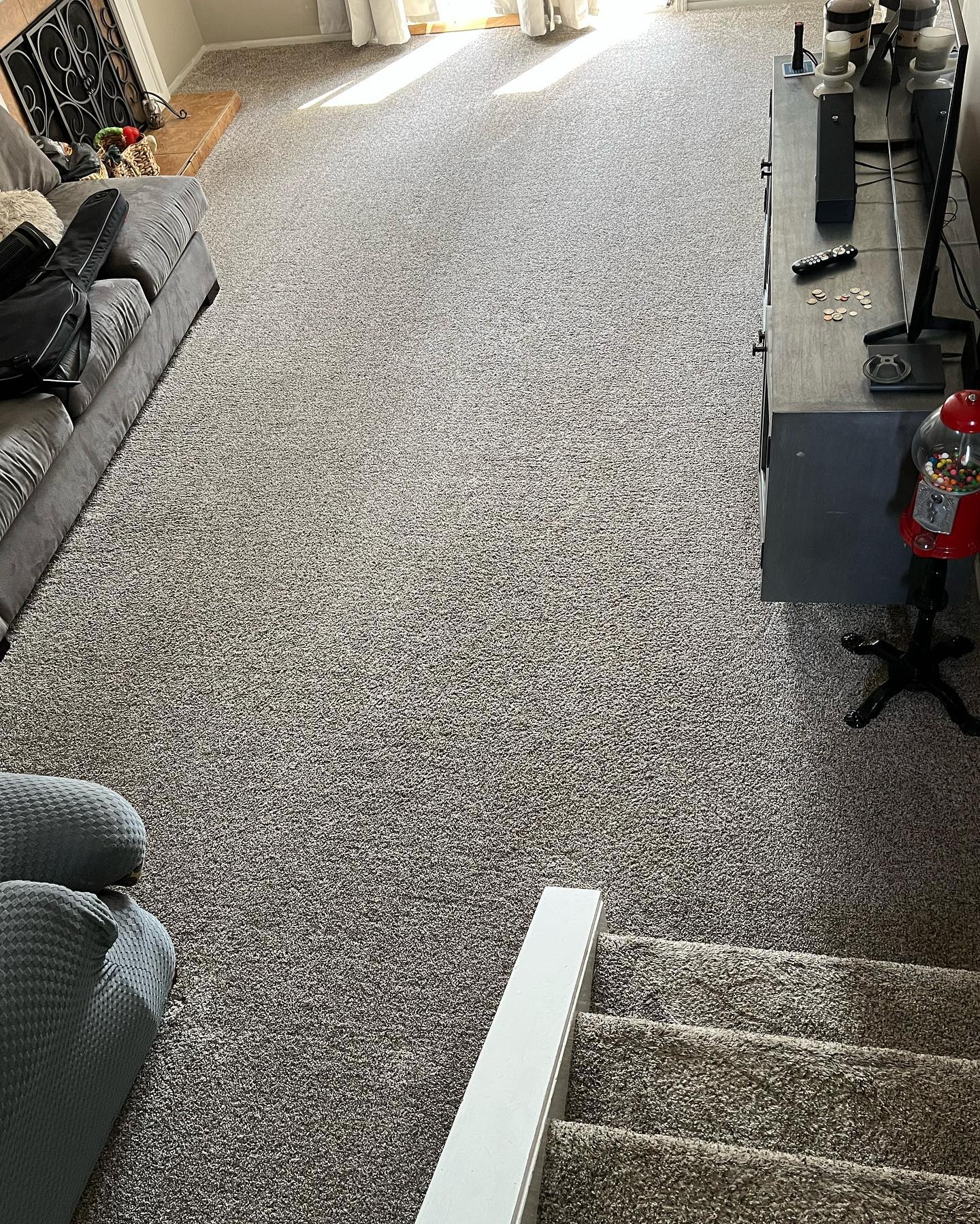 Pet urine extraction in Medina