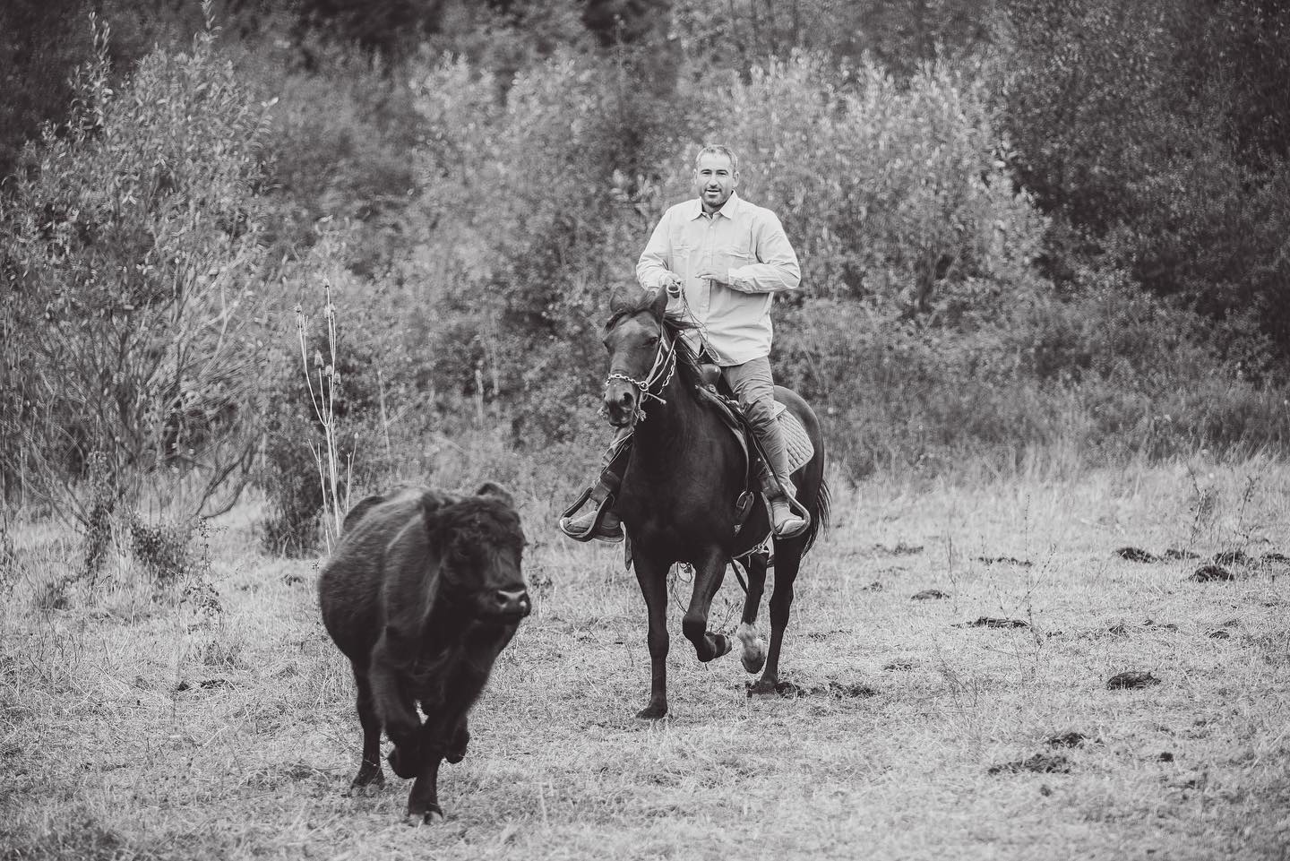 How does a regular day at the farm look like?
#catchmeifyoucan #calf #equestrian #cowboy #angusfarm #farm #farmlife #sustainablefarming #grassfed #horses #countrylife #countryside #romaniancountryside #romania