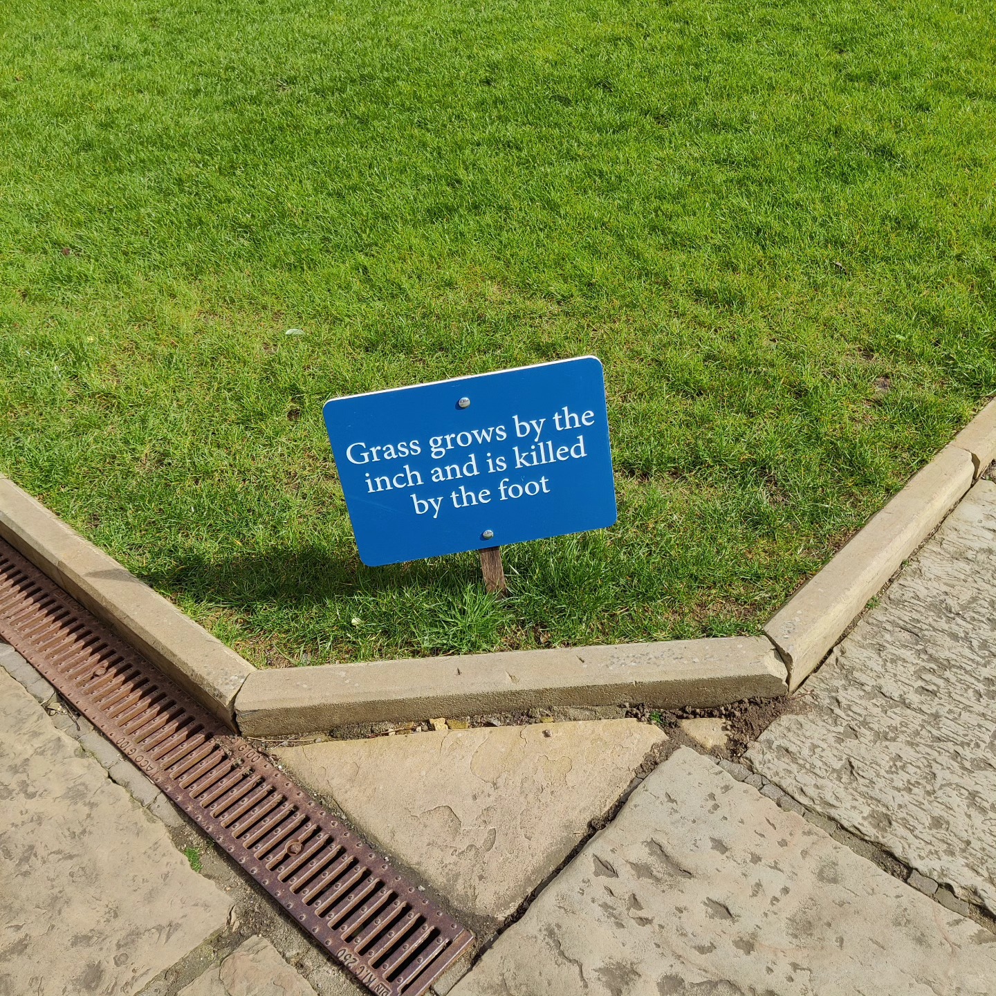 Finding copy that does something unexpected is always a delight.
.
#GoodCopywriting #KeepOffTheGrass #SizePuns #Puns #MyLawnGetsKilledByDogWee