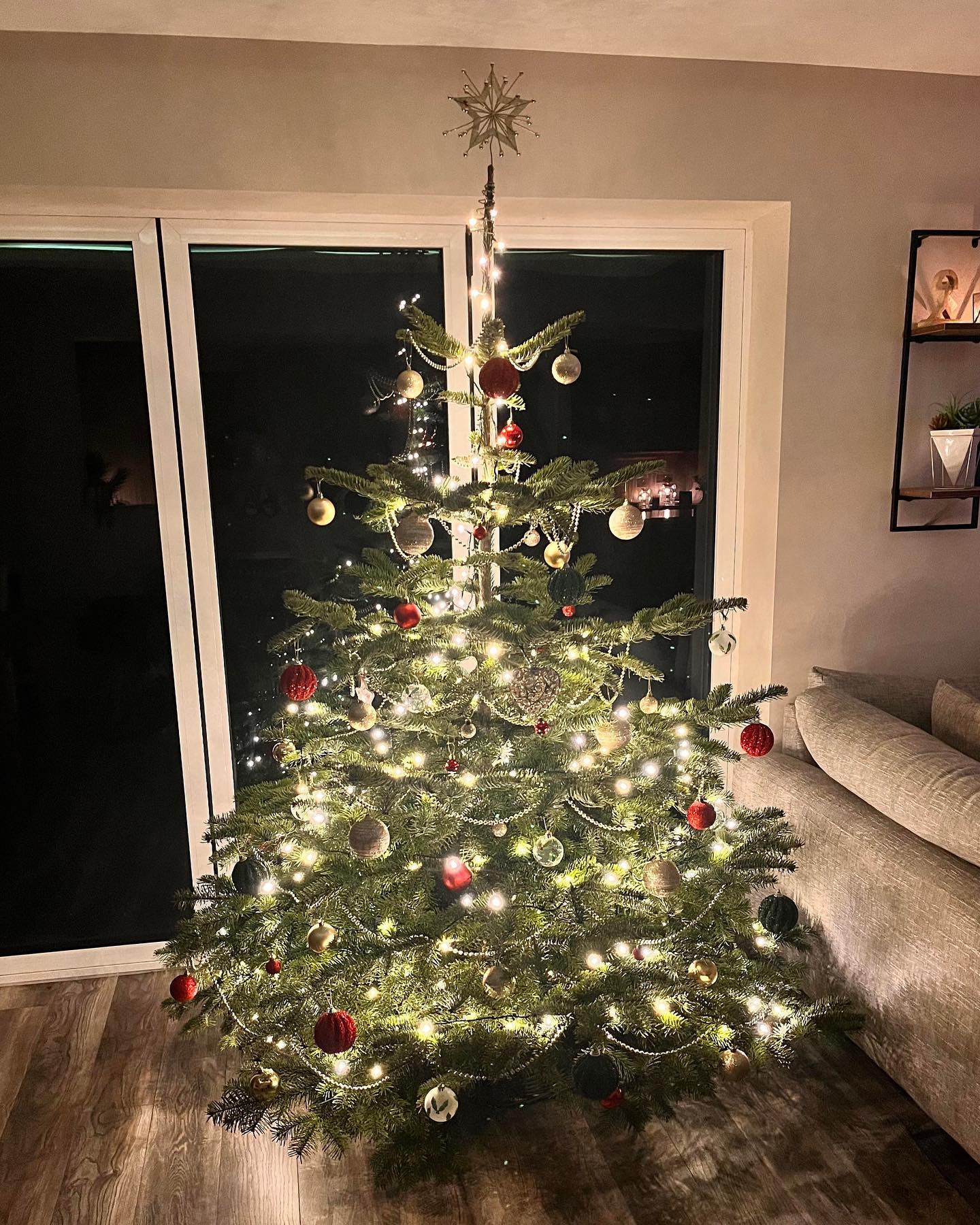 Wow what a busy weekend 🪚🎄 We want to say a HUGE thank you to everyone who came to visit.
🌟 Pre cut Nordmann Fir trees are available ALL WEEK, no bookings required for the rest of 2022 🌟
Next weekend our pick your own plantation will re open 10.30am - 3.30pm for Norway Spruce trees alongside our wide selection of pre cut Nordmann Fir
Products / services available:
🎄 Norway Spruce available in our pick your own plantation
🎪 Our pre cut Nordmann Fir are displayed under shelter this year, located next to our plantation
🚗 Deliveries starting at £5
🌟 See our website for further details durhamchristmastrees.co.uk
#outdooractivities #locallysourced #freshlycut #pickyourown #PYO #durham #christmastrees #northeast #durhamchristmastrees #heughhallfarm #smallbusiness #christmasiscoming #nordmann #fir #norway #spruce