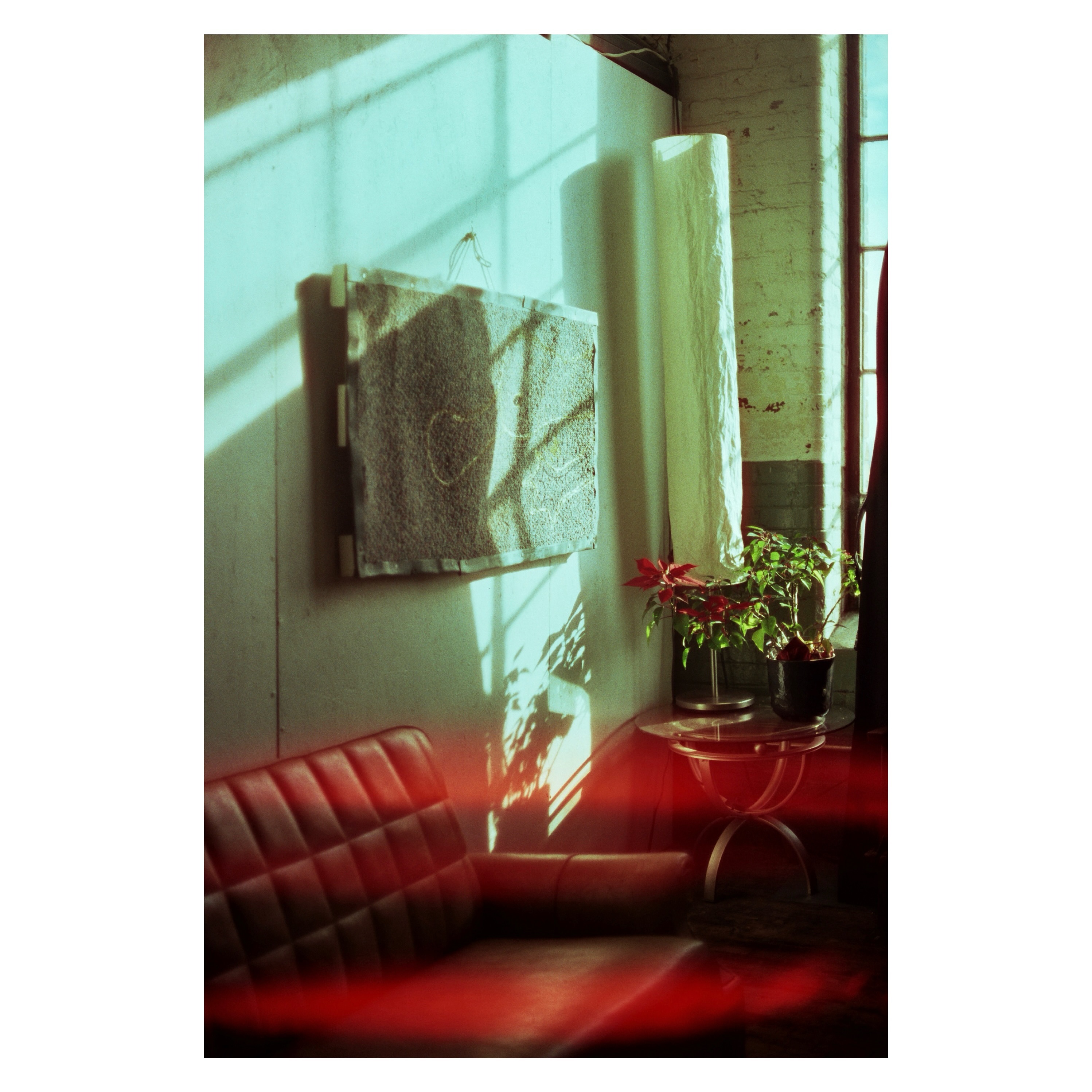 Lens flares ⚡️
📷: canon ae-1 / cinestill 400D
#ae1 #35mm #canon #canonae1 #cinestill400D #cinestill #cinestillfilm