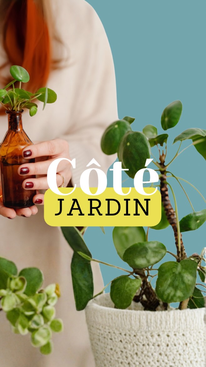 Aujourd’hui on parle jardinage … enfin pas vraiment 😅
On se sert d’une partie de mes bébés Pileas pour expliquer l’absurdité du validisme vis à vis du TSA.
.
.
.
#santementale #tsa #autisme #adulteautiste #autiste #neurodivergeant #neurodiversite #neuroatypique #neuroa #neurod #conseilsautisme #tsa