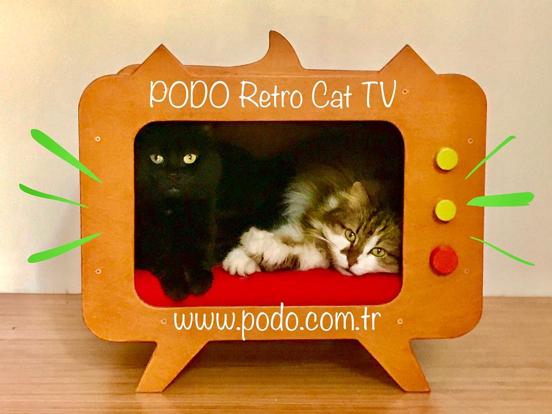 Yeni Ürünümüz: PODO Retro Cat TV Avantajlarla Şimdi Satışta! 😻📺❤️ https://shop.podo.com.tr/podo-retro-cat-tv
#pododesignsforpets #podokedievleri #podosizvepatilidostlarinizicintasarimlar #kedi🐱 #kediaşkı #kediyuvası #catlovers #kedisever #kedisevgisi #patidostları #patilidostlar #designingforanimals #weloveanimals #podo❤️🐈 #podoshop