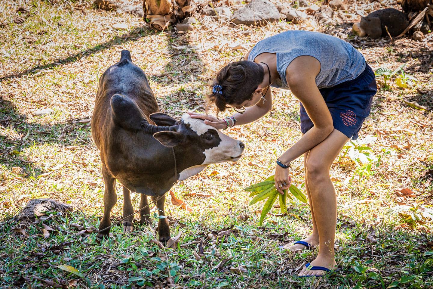 Madagascar saison requin baleine!
Voyage d'exception de 10 jours dans centre privatisé sur l'île de Sakatia . Max .18 personnes
Au menu plongées sur des sites que nous connaissons depuis plus de 30 ans tout cela dans uncadre idyllique à côté d'une fôret primaire.
Plongées fluo exceptionnelles!
Observez les tortues marines en PMT à 300m de votre bungalow!
à partir de CHF 1200.-/1580*
10 jours, DP, 10 plongées.
Grand choix d'excursions terrestres. Non plongeurs bienvenus.
Possibilité de faire les spécialités de biologie marine sur les requins, mantas, tortues et coraux avec un biologiste.
Peut être cumulé avec une croisière sur les iles Radames du 26 novembre au 3 décembre
CHF 1850.-/2350-*
* single
Pour plus d'informations : travel@moramora.ch
http://ow.ly/ocS750MR13p