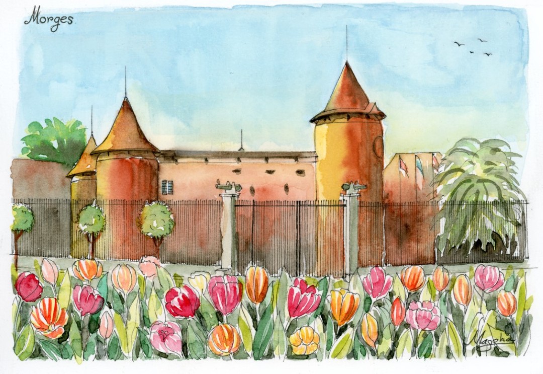 Dans l’attente de la Fête de la Tulipe de Morges
Looking forward to the Morges Tulip Festival.
#watercolor
#morges
#switzerland