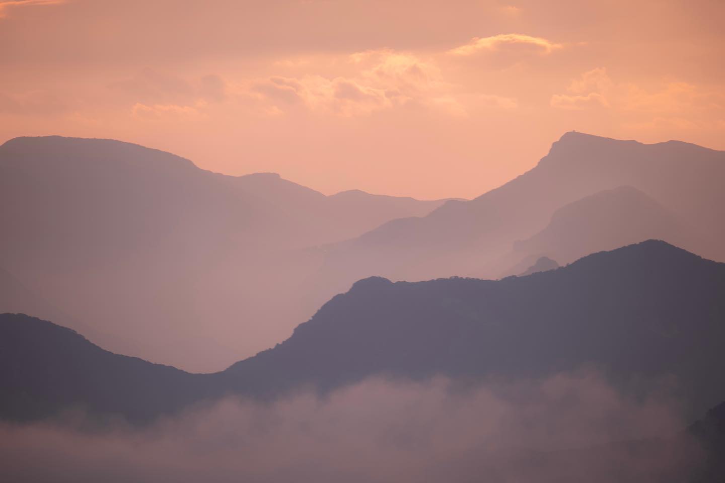 Douceur d’automne
#landscape #landscapephotography #hiking #explore #mountains #color #pink #cloud #nature #natgeo #natgeoyourshot #lumixfr #sigmafrance