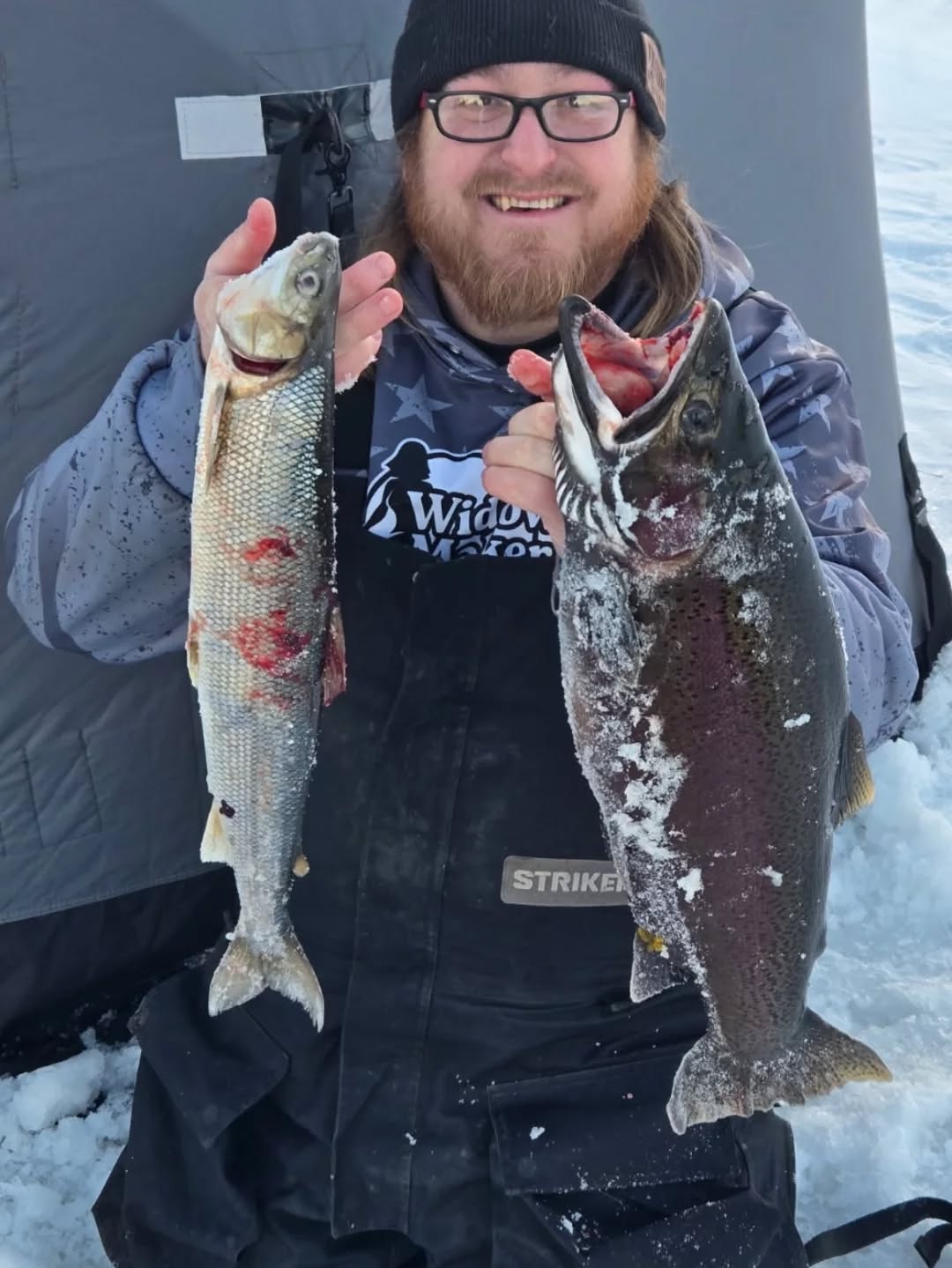 Hard to beat big fish on light line and an ice rod. Caught this big steelhead and cisco today on a @widow_maker_lures tungsten shrimp with a @freedombaitzusa Red Dmr and black hornet. #freedombaitz #widowmakerjigs