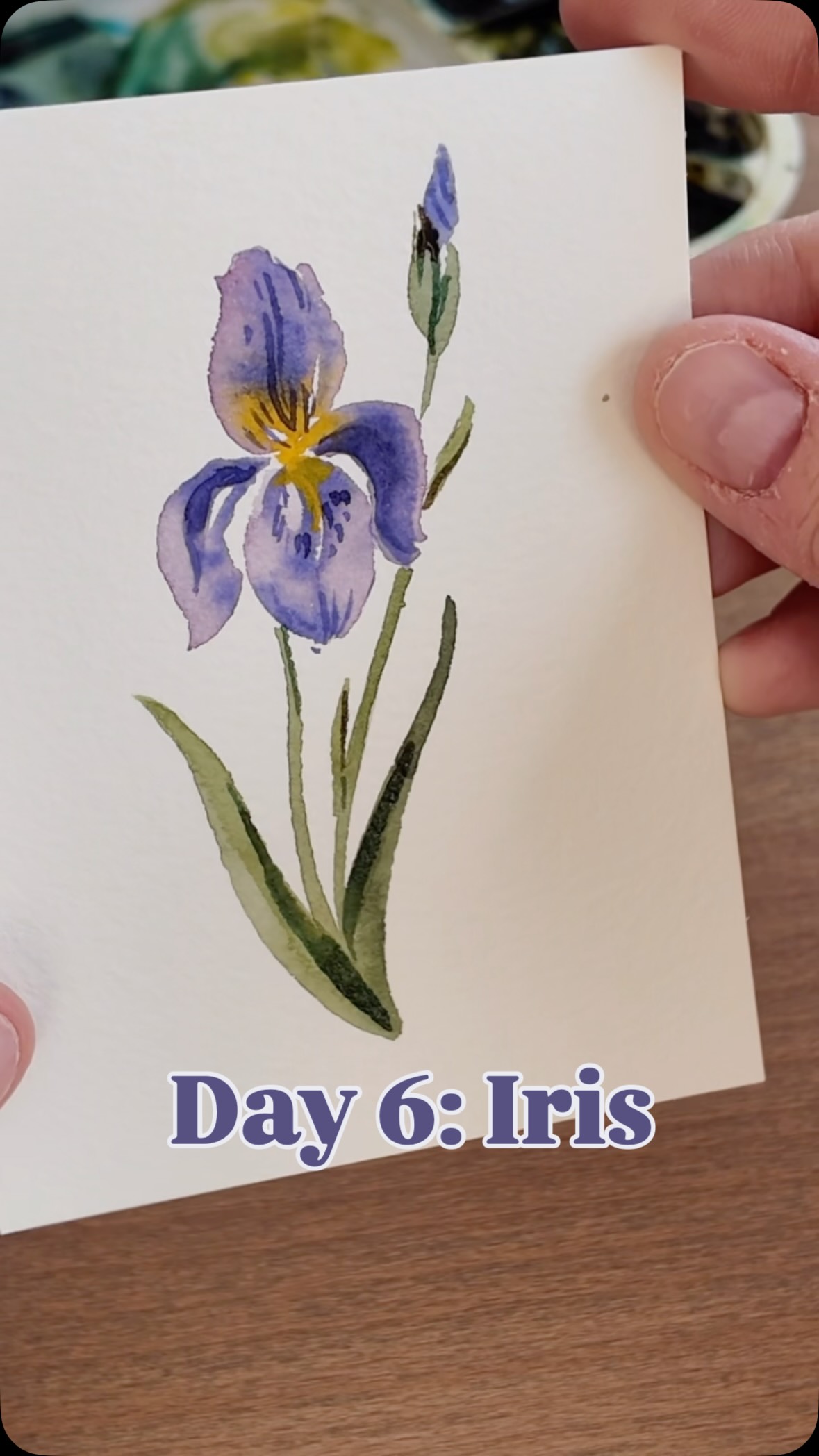 Day 6 of painting easy watercolour spring flowers! Paint this sweet iris with me!
Brush: Emma lefebvre x @craftamo travel brush set
Paper: @meeden.art cold pressed
Paint: Shinhan pwc watercolour